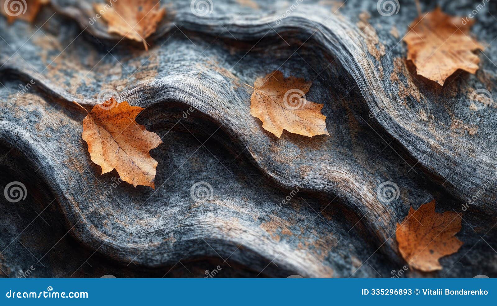 depth and texture in nature-inspired .