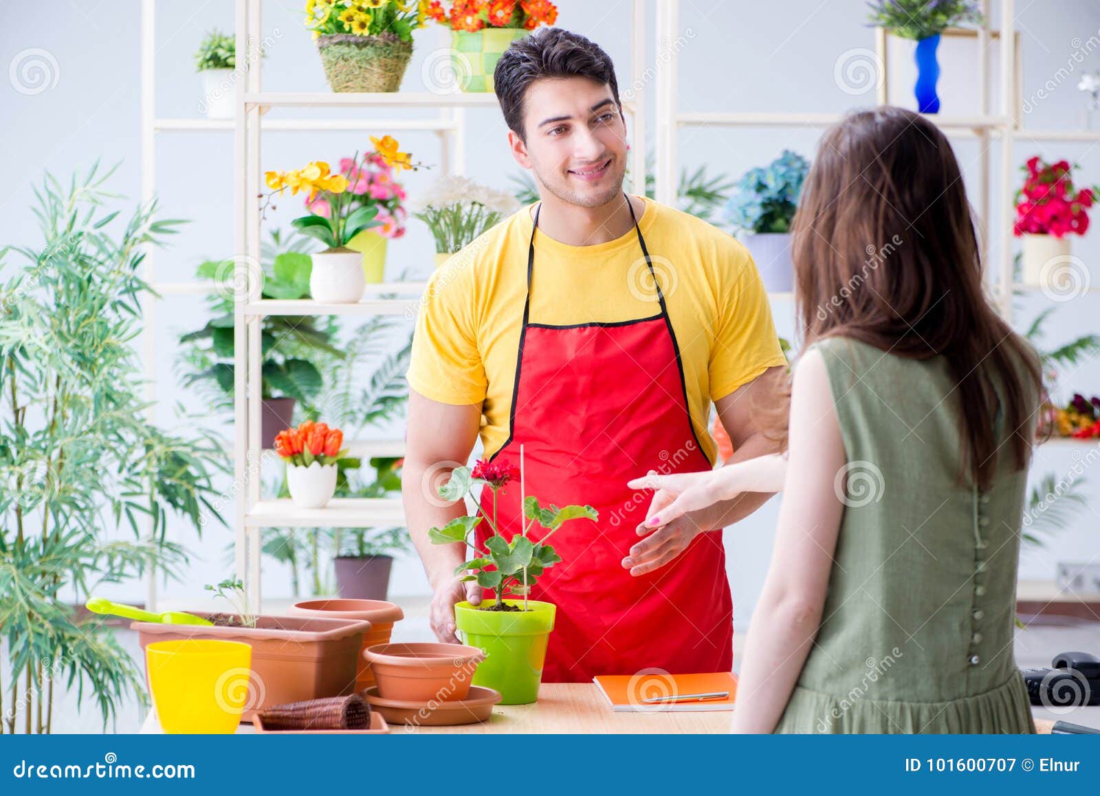 Der Florist Der Blumen In Einem Blumenladen Verkauft Stockbild Bild Von Florist Verkauft