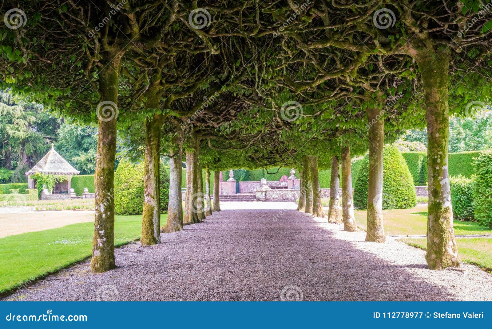 Der Garten Von GlamisSchloss, In Angus, Schottland