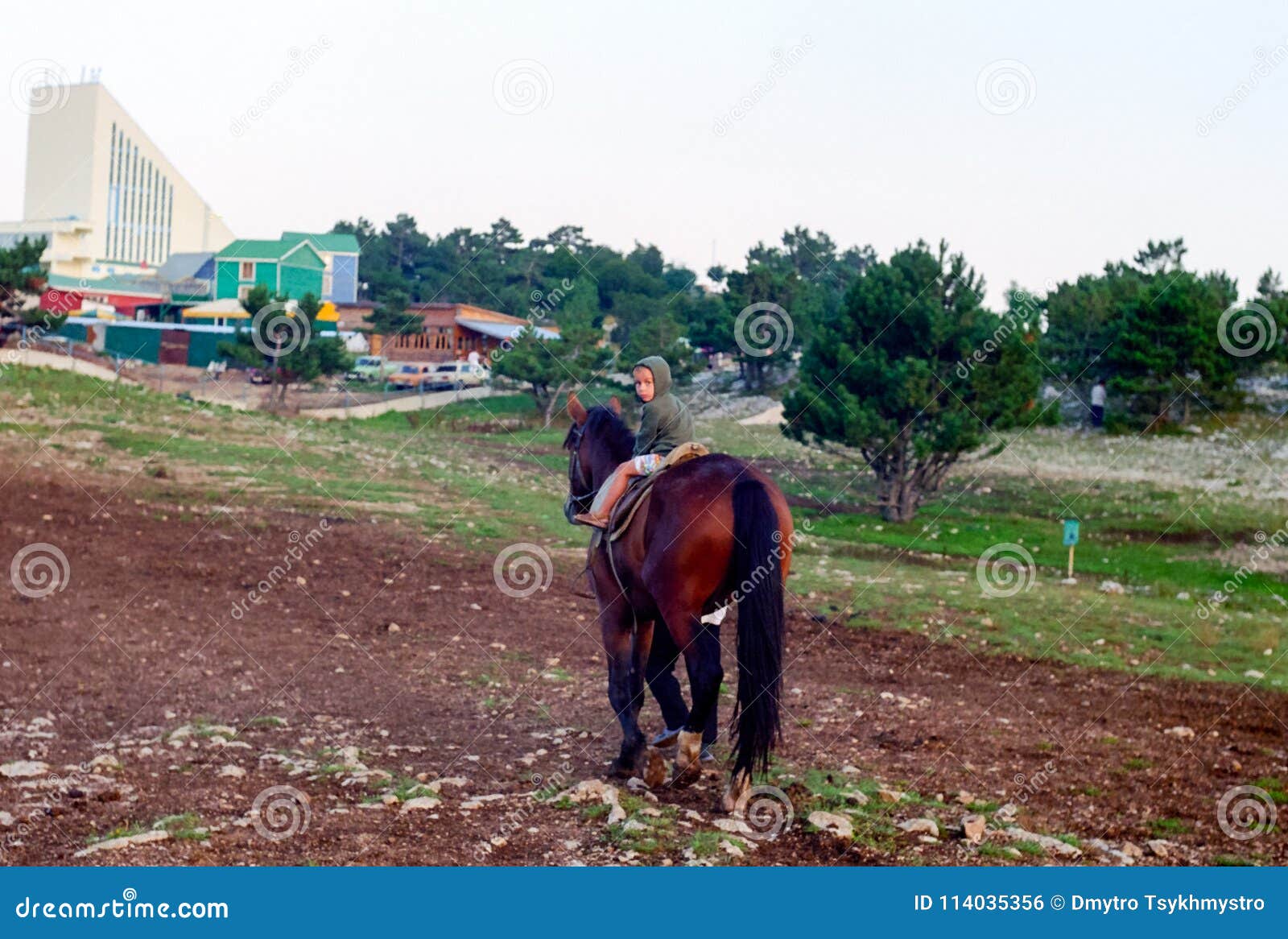 Der Junge reitet ein Pferd stockfoto. Bild von pferd - 114035356
