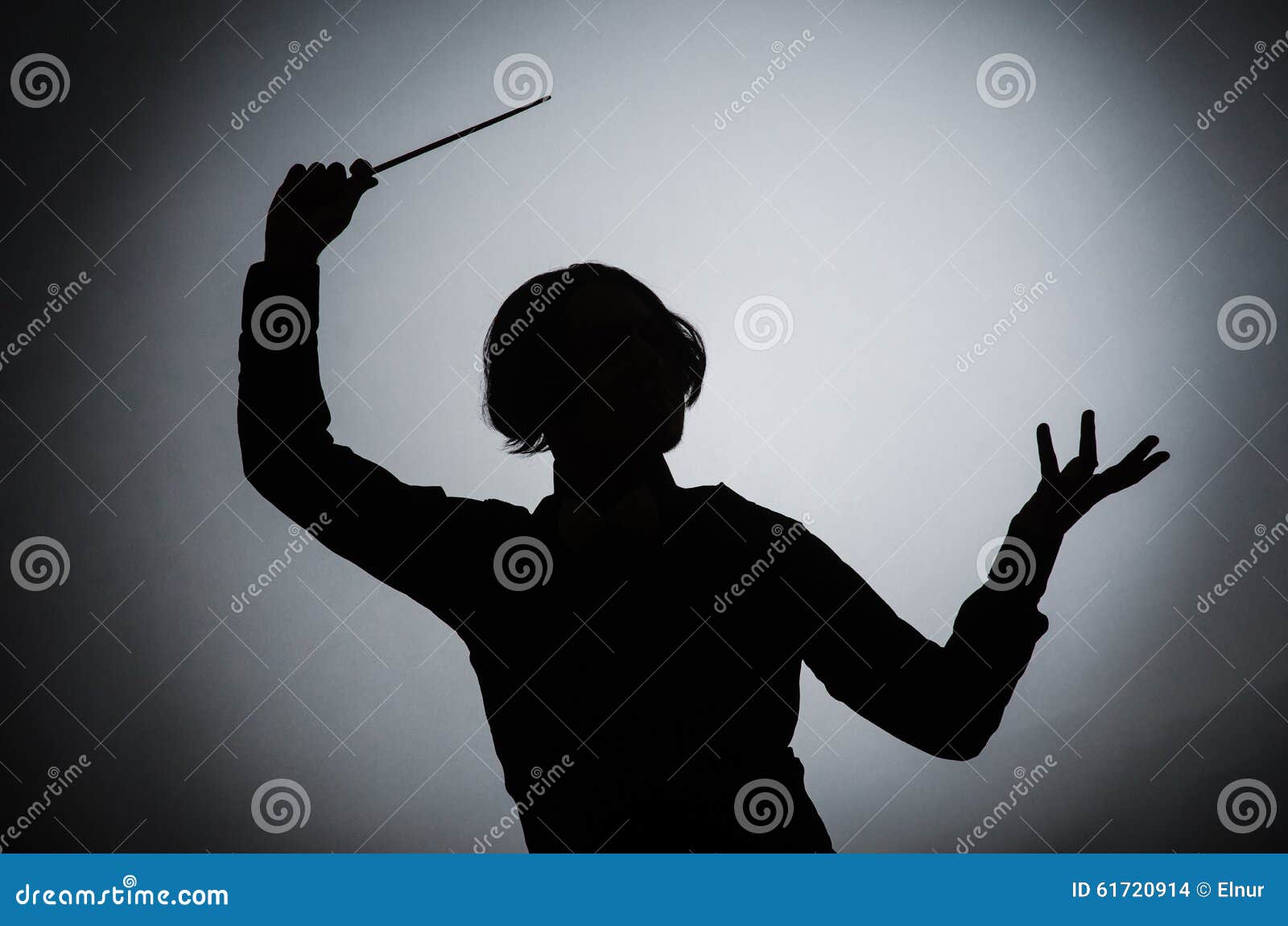 Der Lustige Leiter Im Musikalischen Konzept Stockfoto Bild Von Lustige Konzept