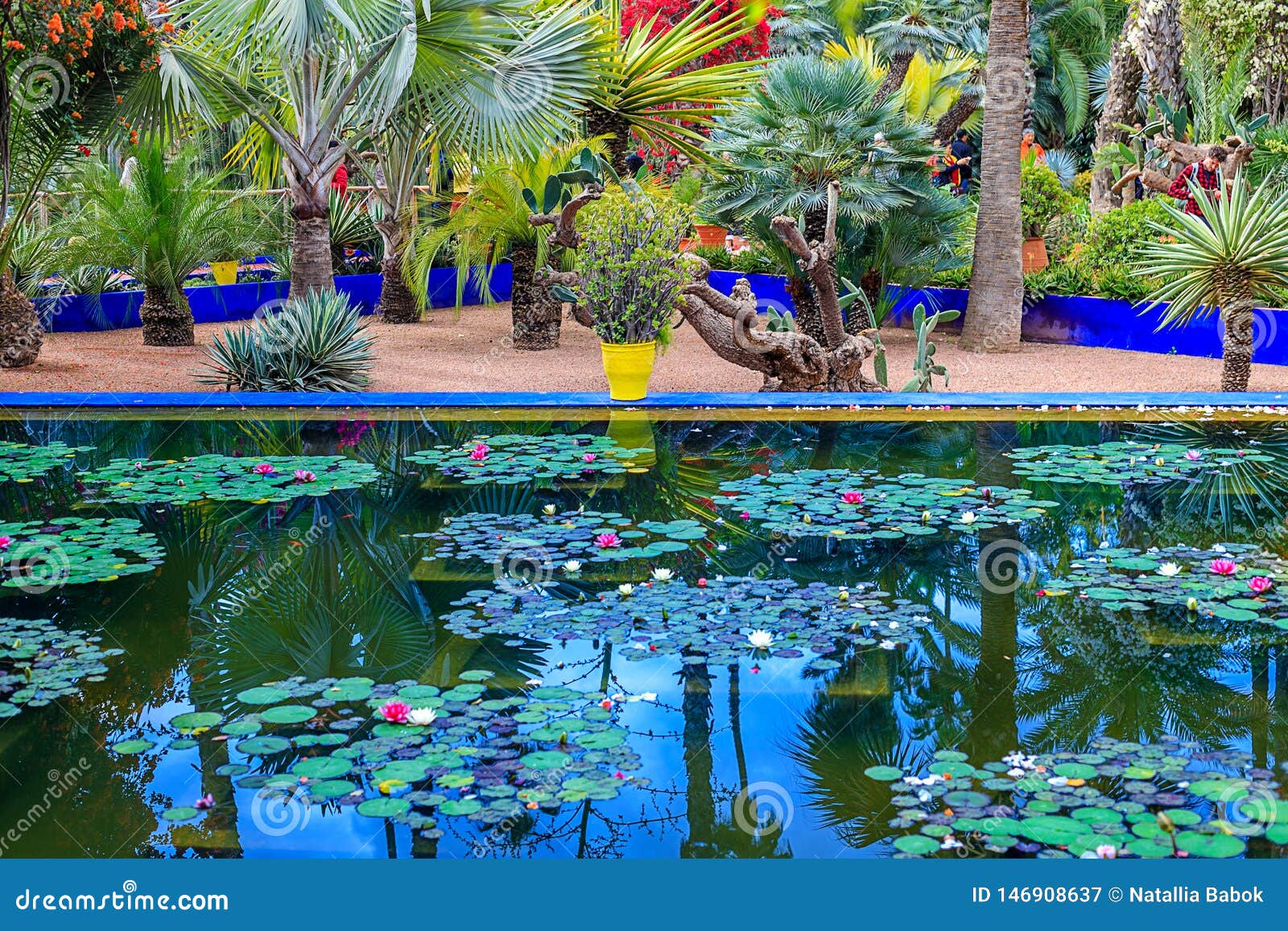 Der MajorelleGarten Ist Ein Botanischer Garten Und Garten