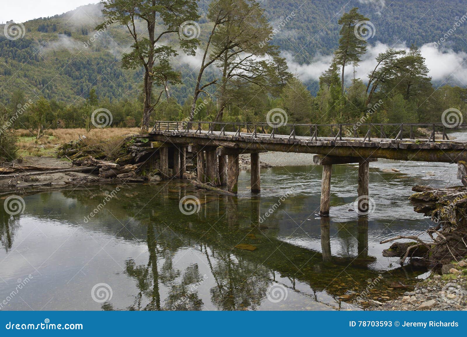 derelict wooden bridge along the carretera austral