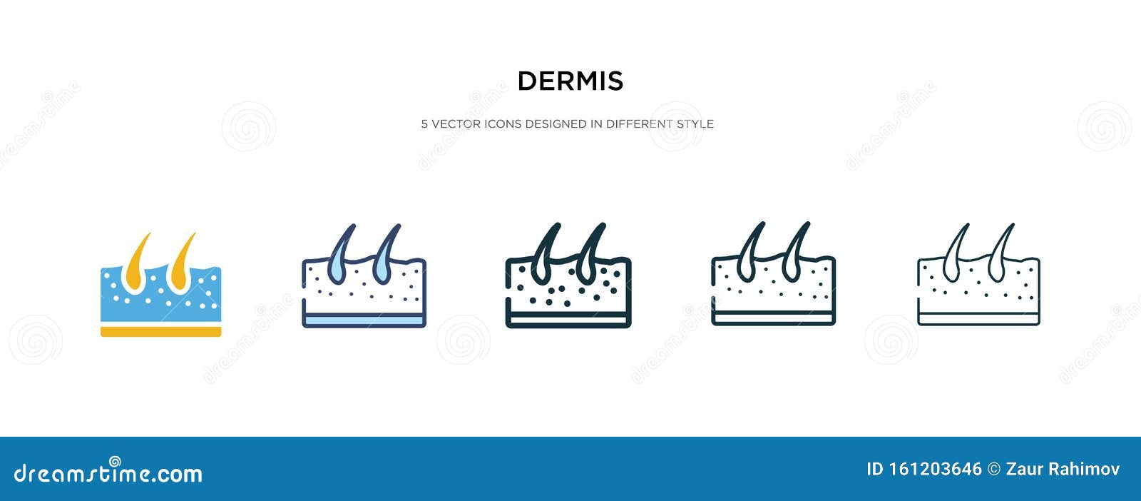 dermis icon in different style  . two colored and black dermis  icons ed in filled, outline, line