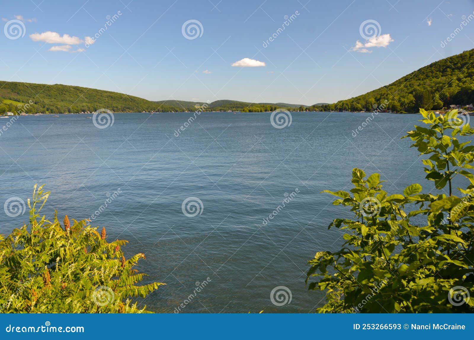 Deruyter Reservoir in Eastern Fingerlakes Region of NYS Stock Image