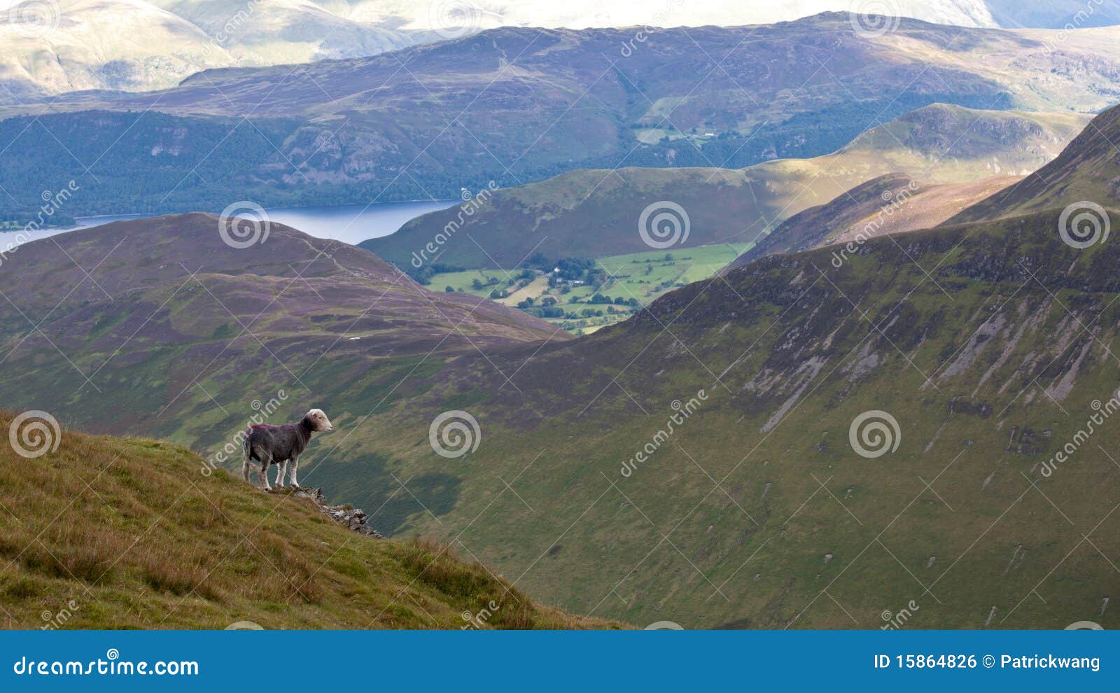Derwent Water in Lake District England Stock Photo Image of europe