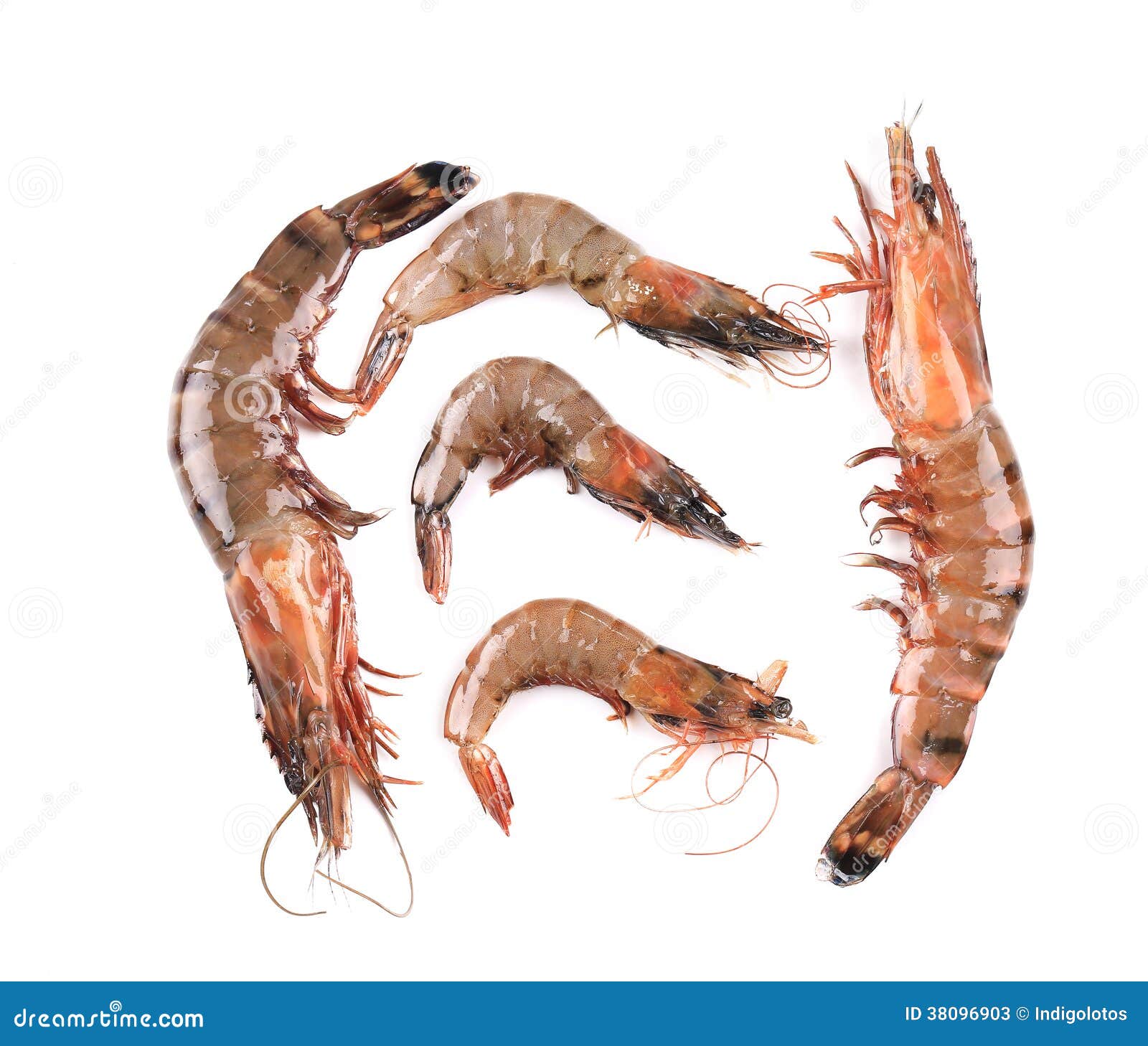 2 900+ Crevettes Crues Stock Illustrations, graphiques vectoriels