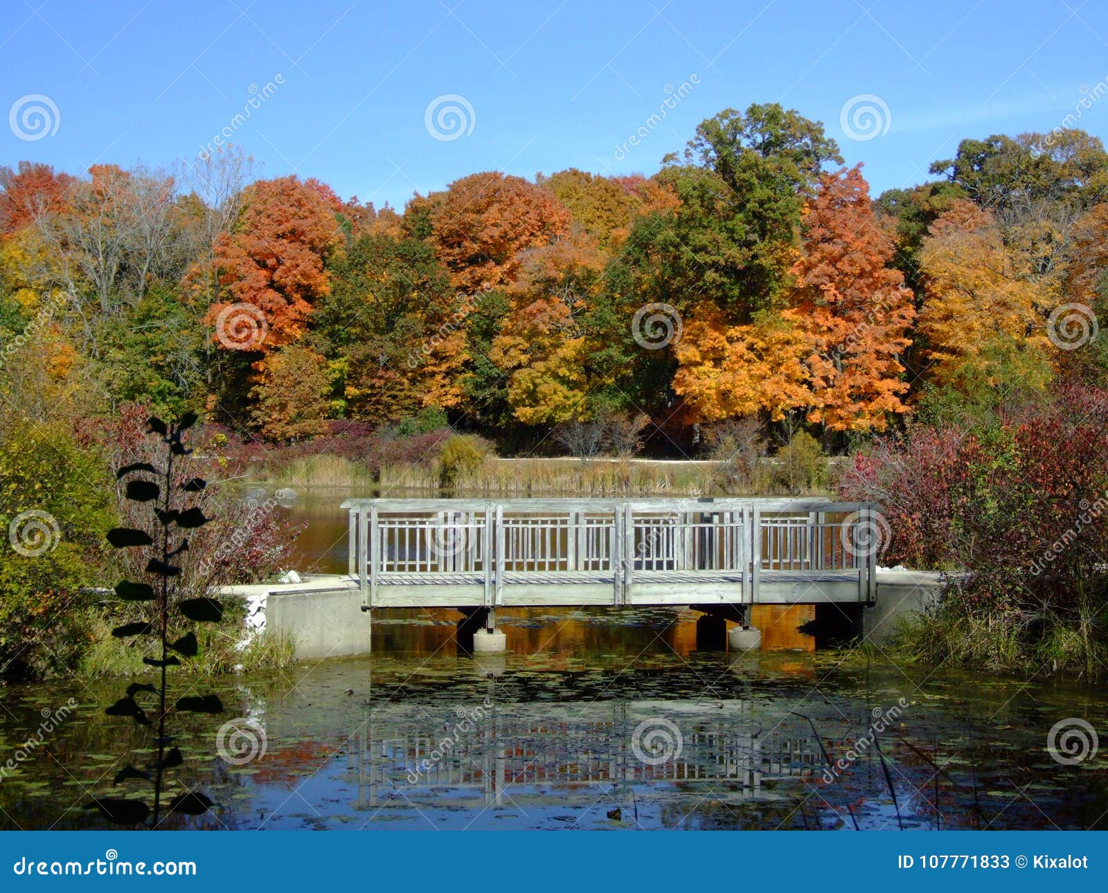 Des Plaines River Trail Bridge in Autumn Stock Image - Image of plaines ...