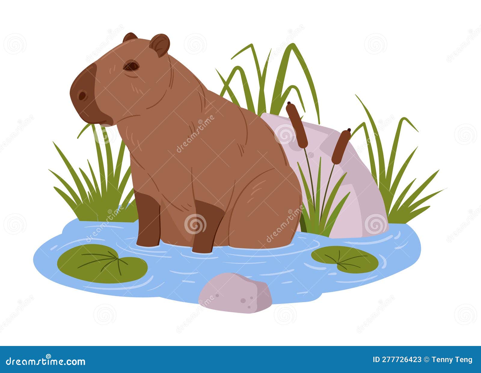 Capivara de desenho animado capivaras fofas animais selvagens semiaquáticos  engraçados herbívoro mamífero hidrochoerus conjunto de ilustração vetorial  plana coleção de roedores capivara