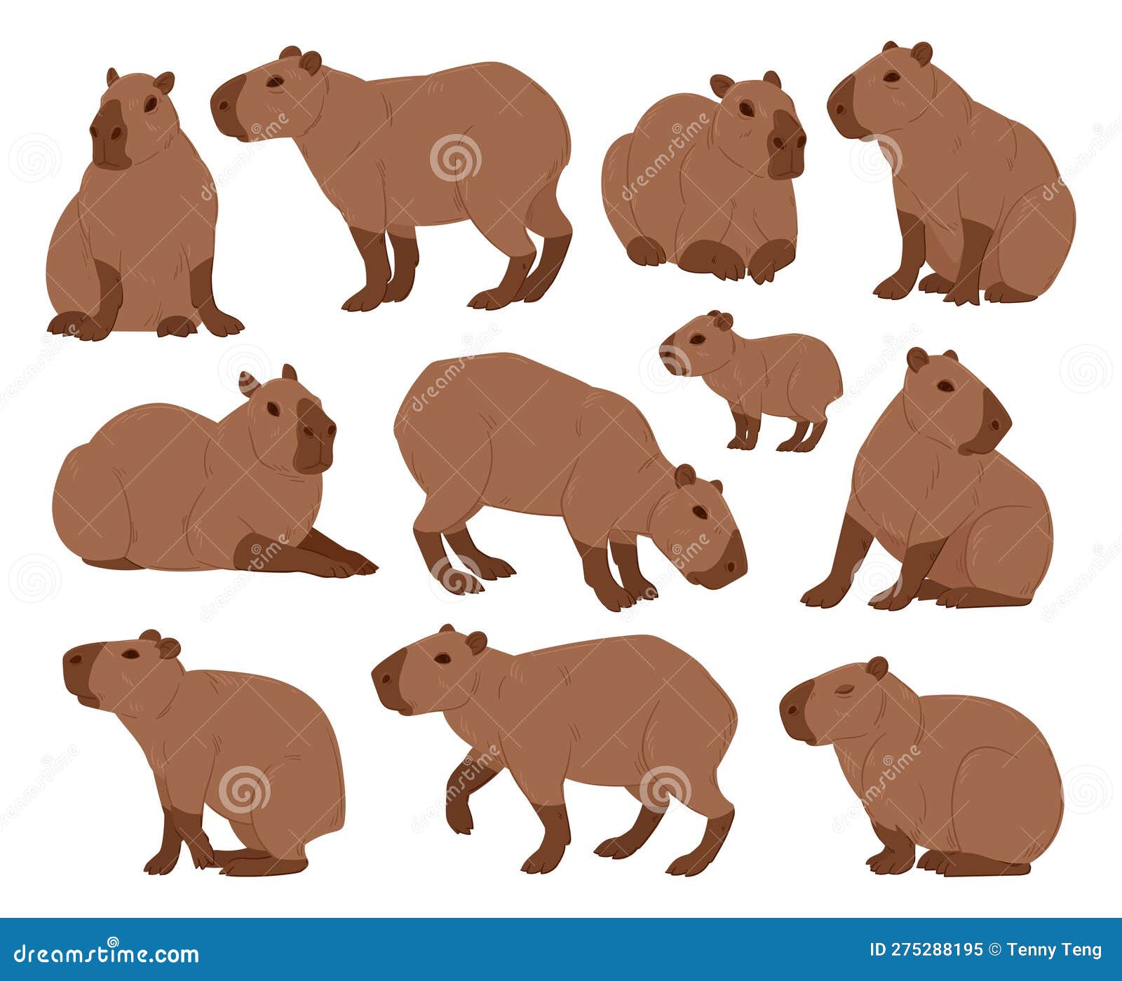 Ilustração em vetor capivara bonito dos desenhos animados vetor animal  isolado design plano