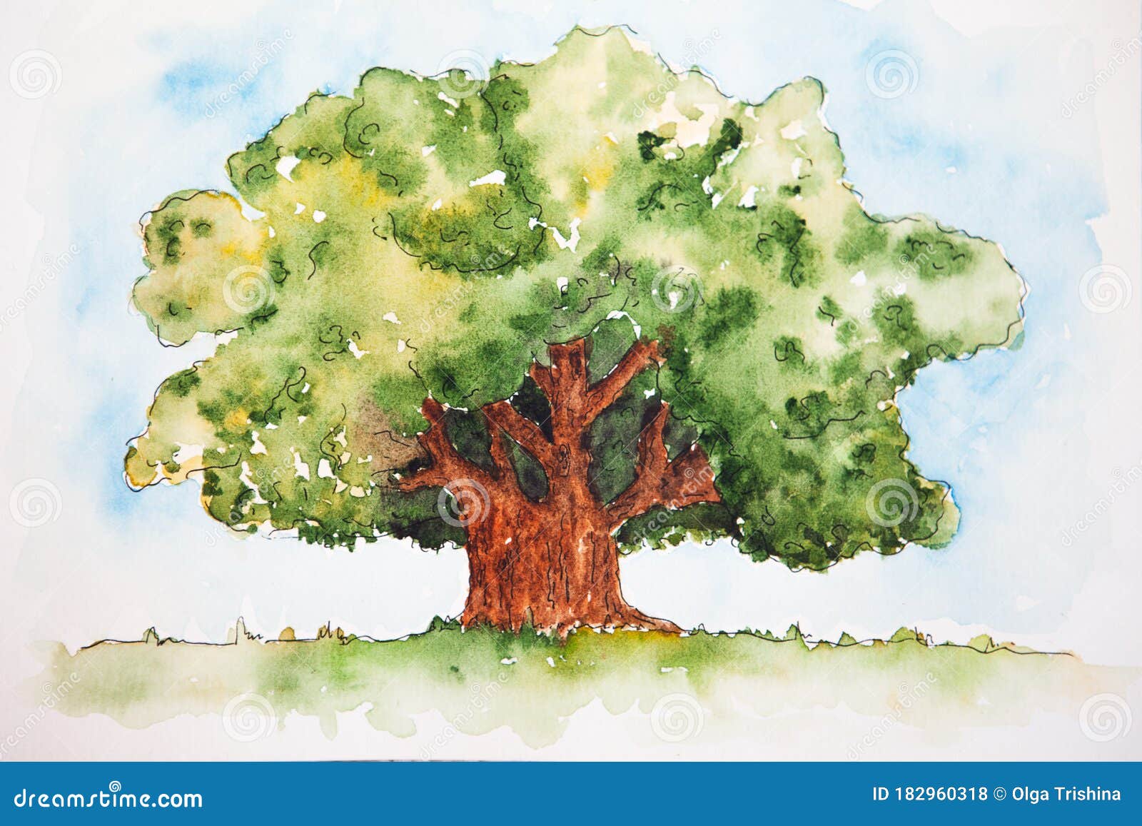 Desenho de uma árvore em aquarela. uma árvore pintada de verde.