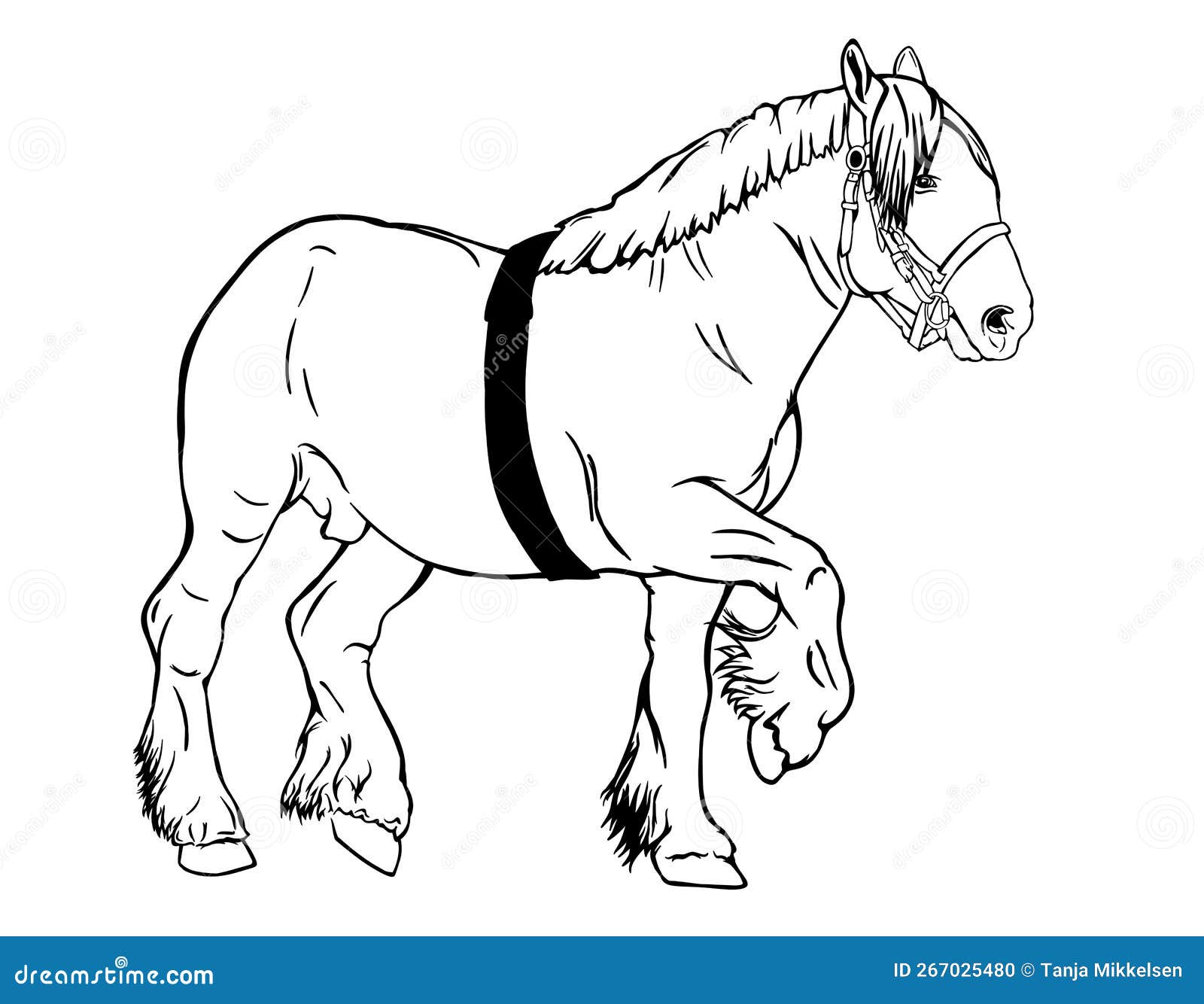 Como Desenhar Esboço Natureza Cavalo Permanente Criação Passo Passo Desenho  imagem vetorial de Nataljacernecka© 325188972