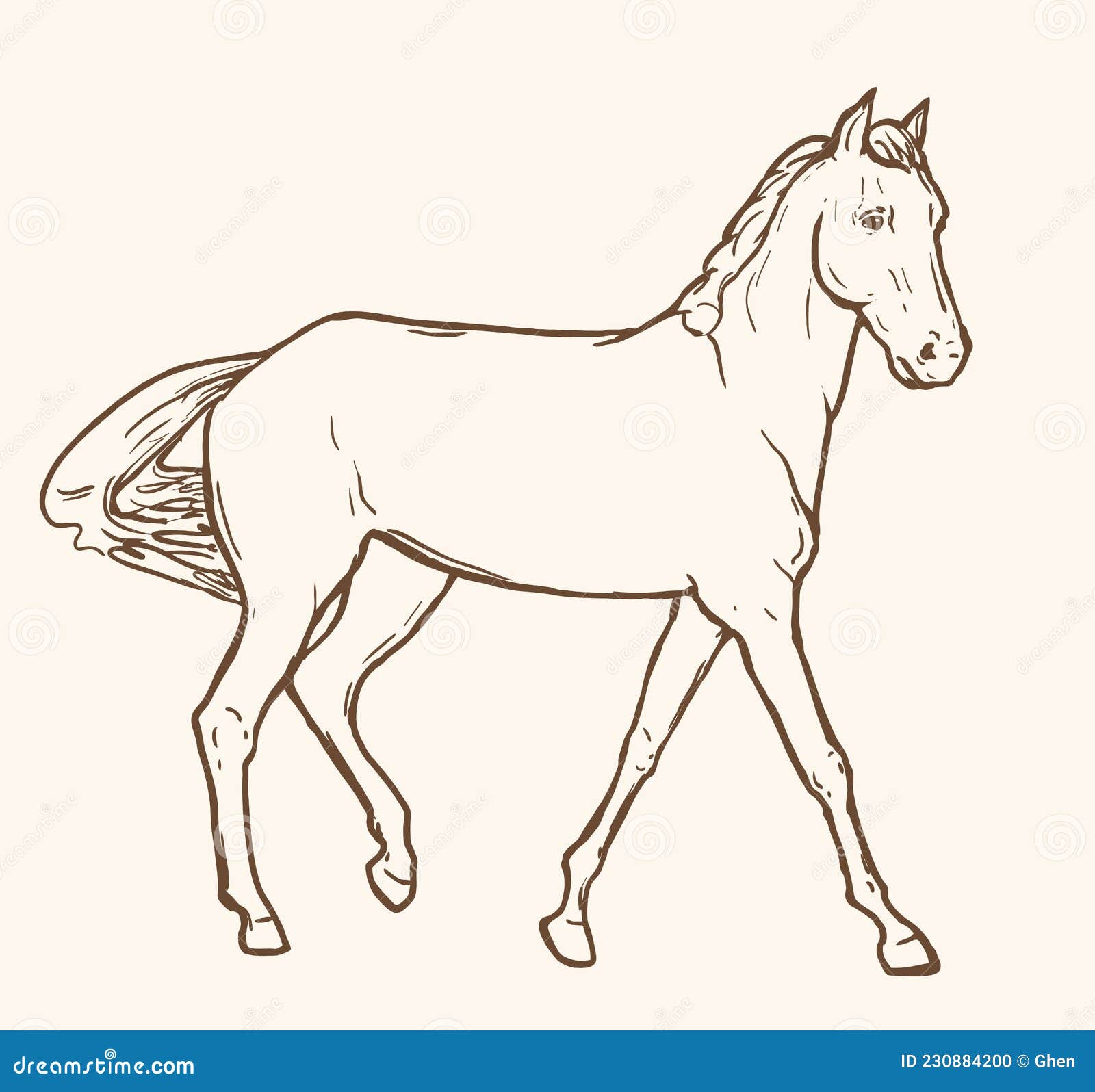 equino  Esboço cavalo, Pintura animal, Coisas simples para desenhar