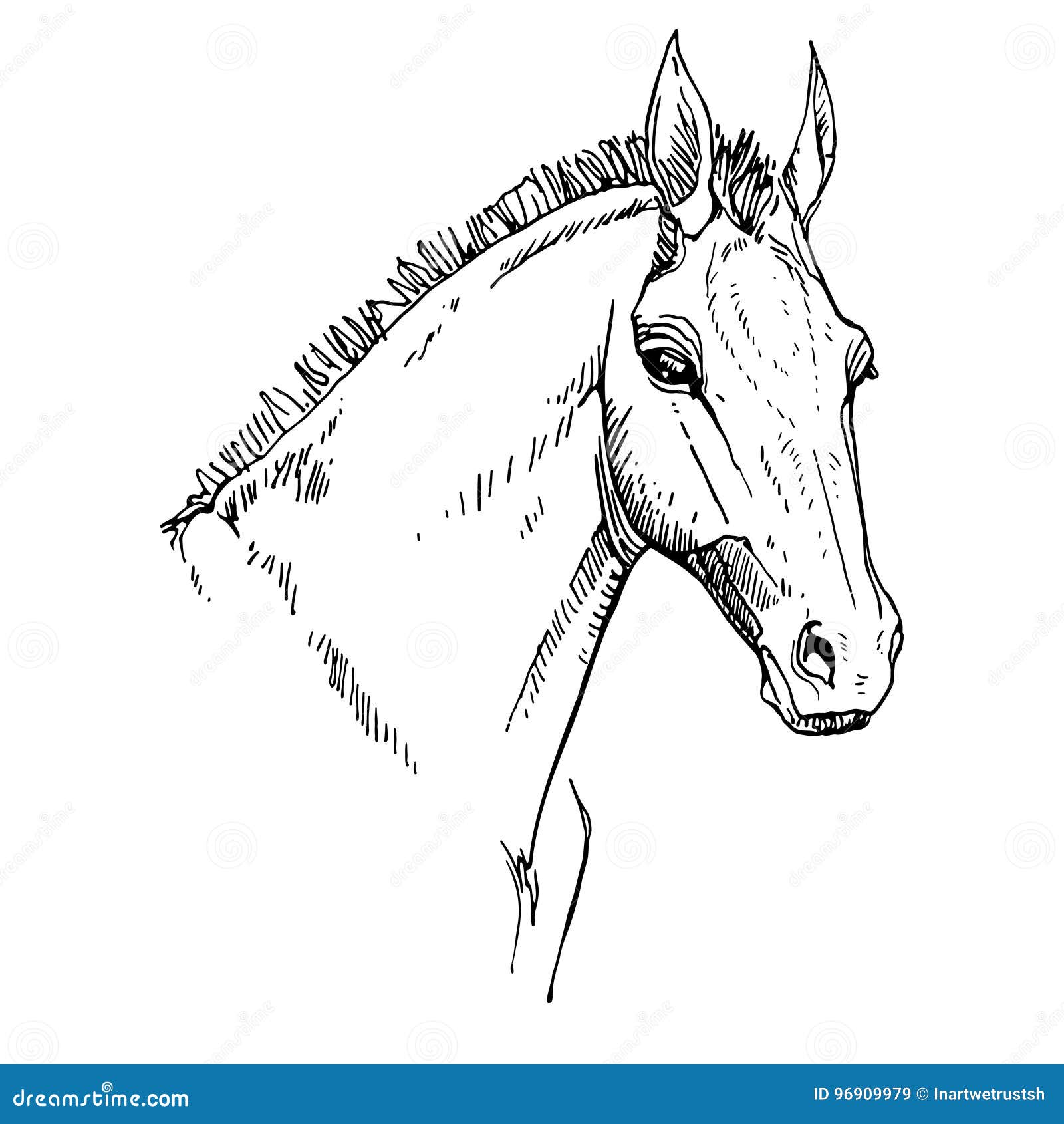 Como desenhar um potro / cavalo 
