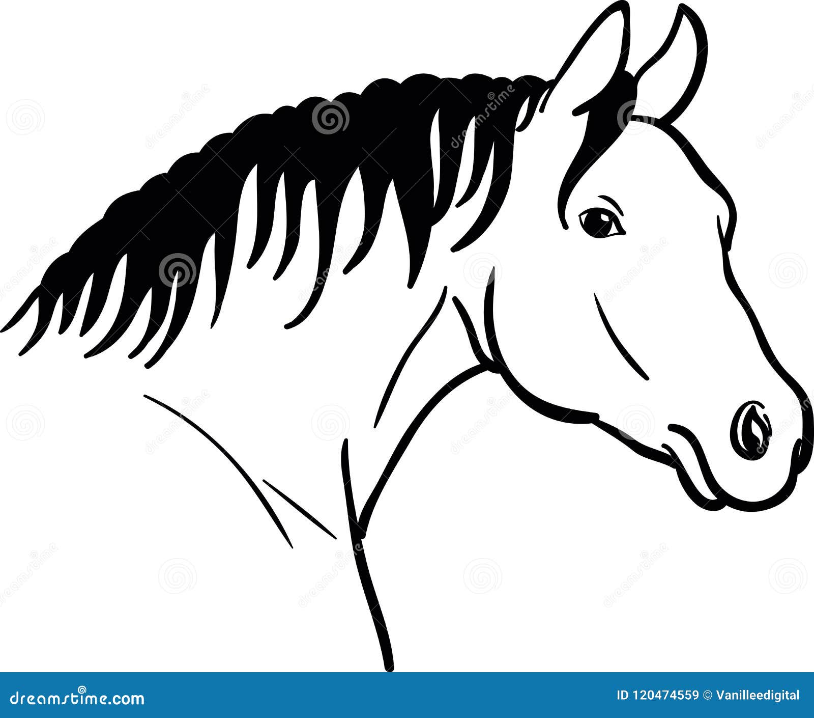 Desenho Da Cabeça De Cavalo No Fundo Branco Ilustração do Vetor -  Ilustração de preto, tinta: 120474559