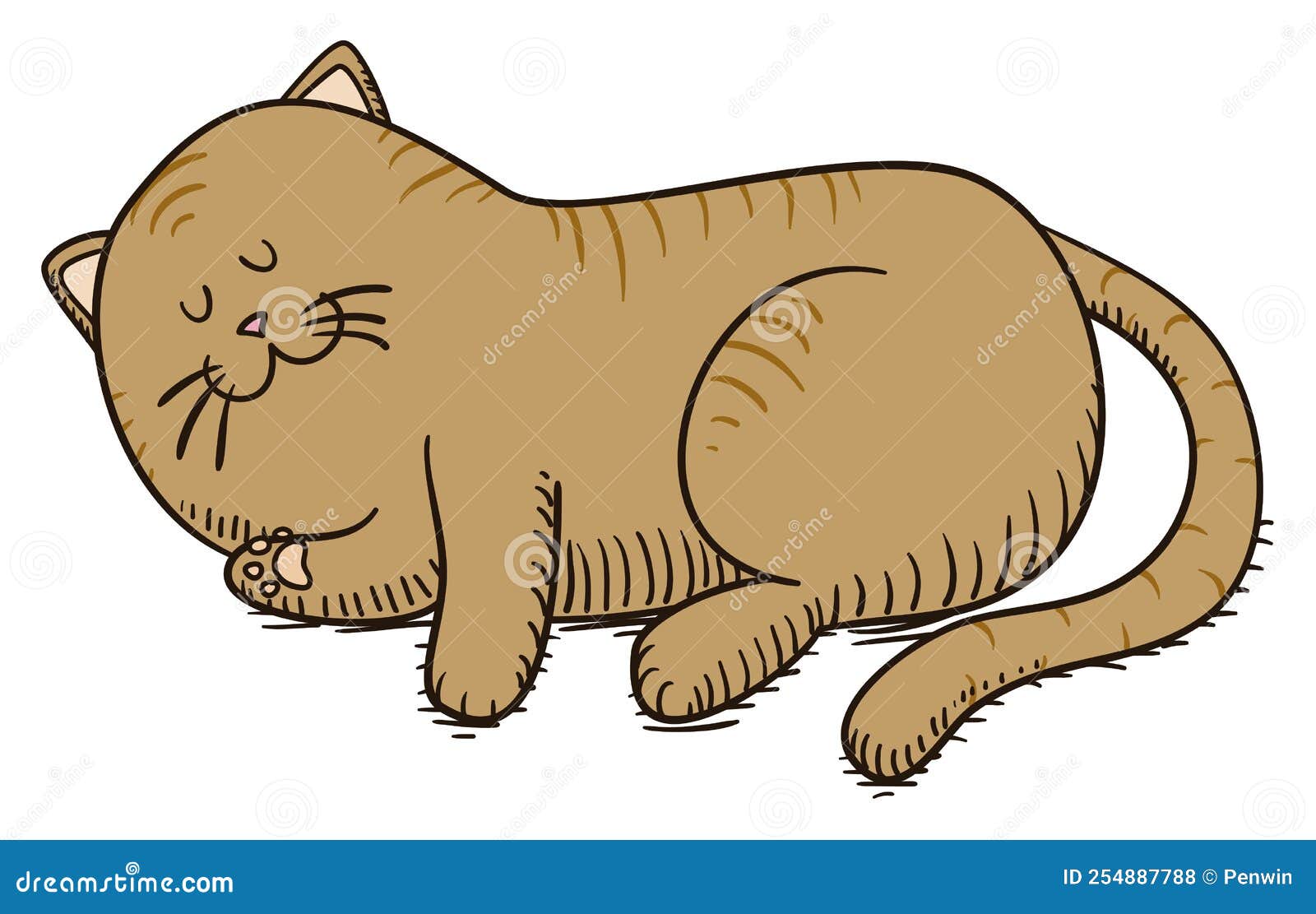 Ilustração Realista Do Desenho Vetorial Do Gato De Estimação Fofo