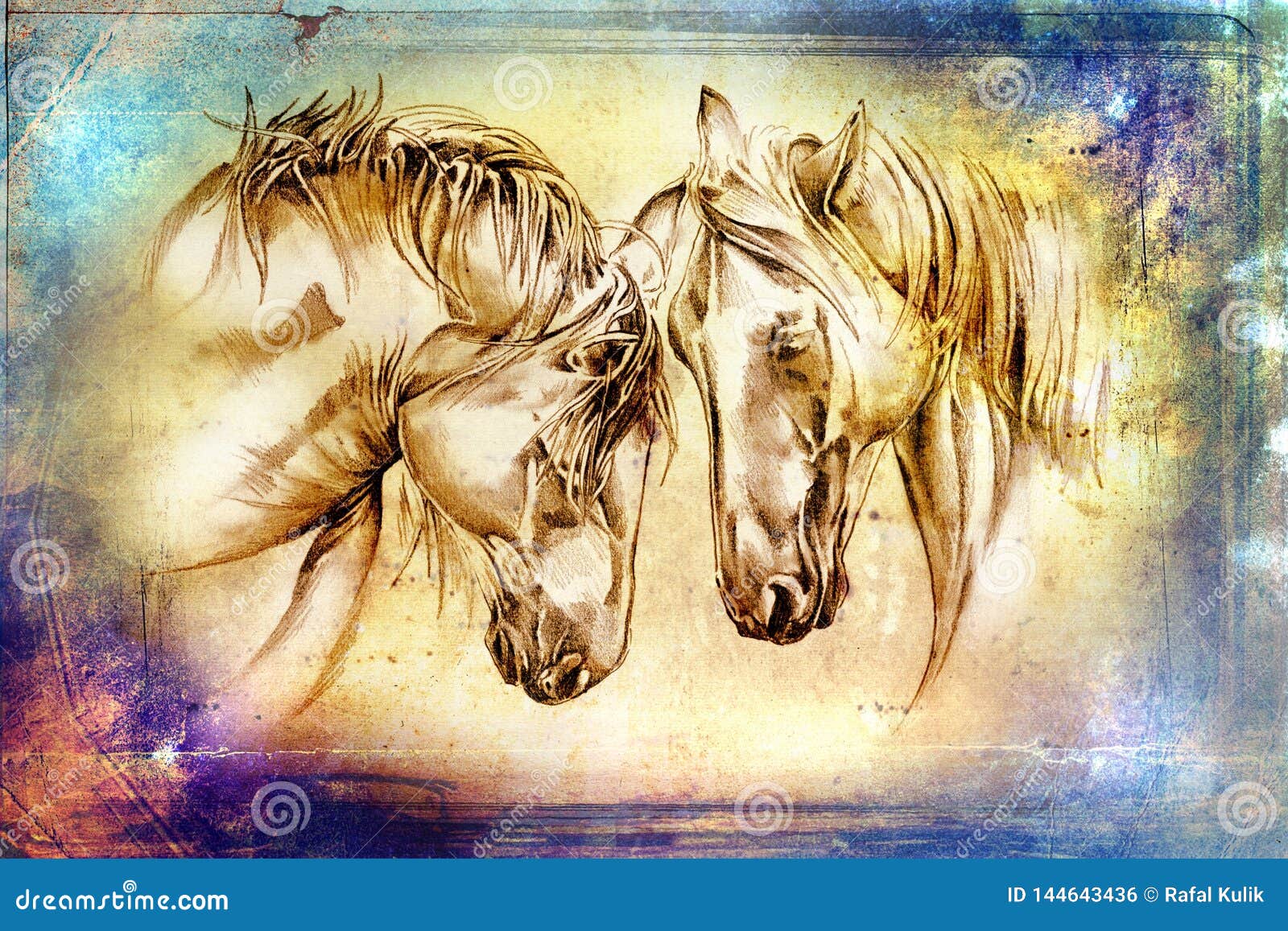 Canvas do desenho de lápis do retrato do cavalo