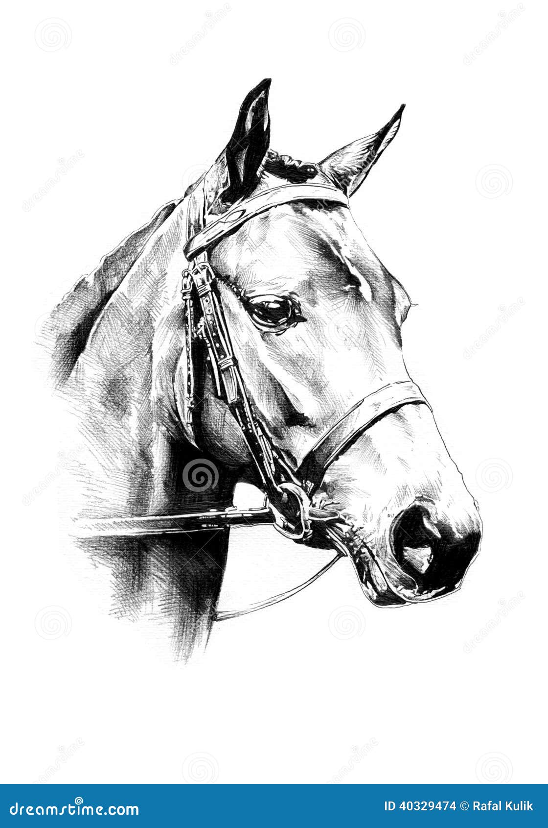 Poster de retrato de cavalo em desenho de lápis de