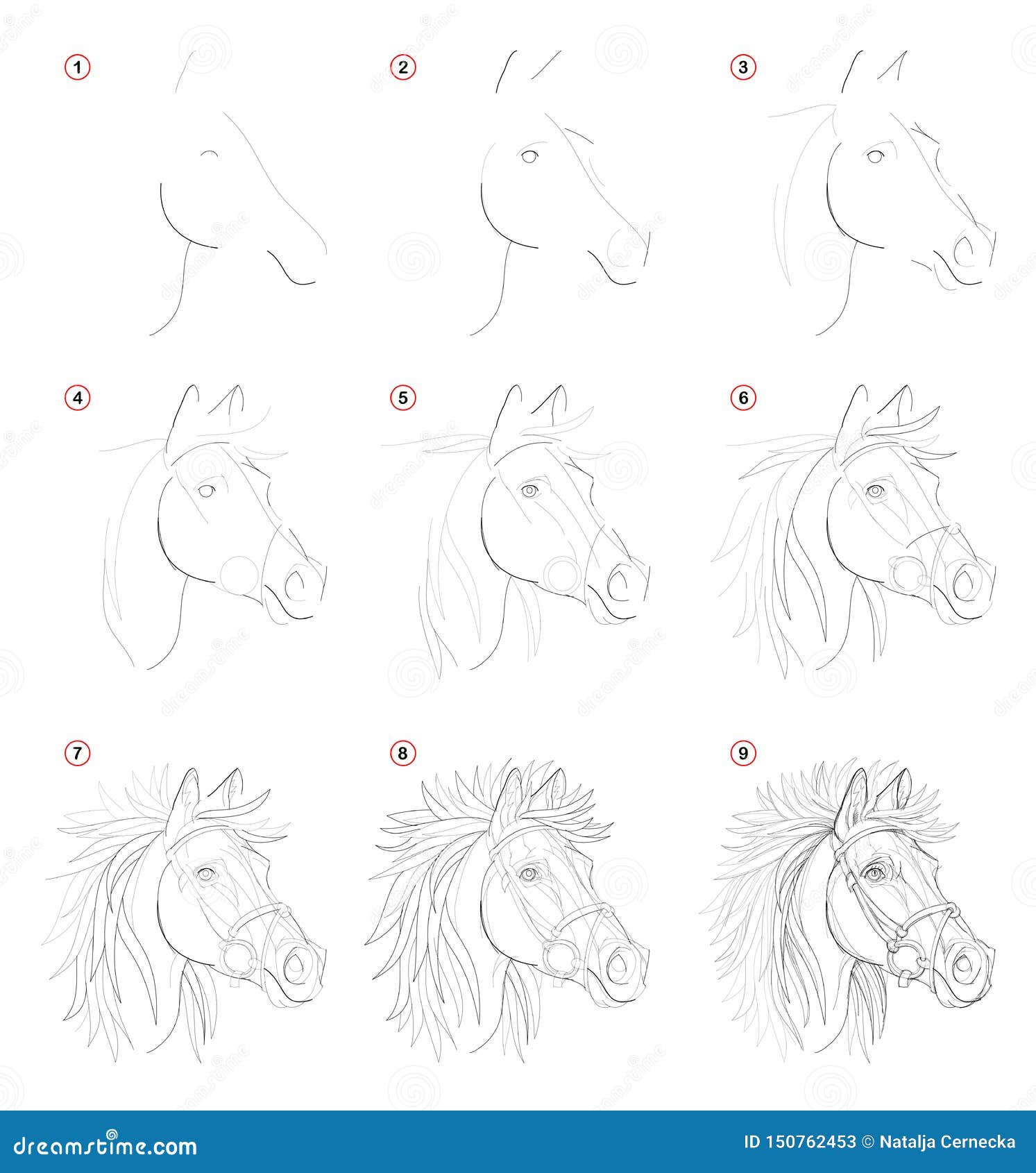 APRENDA A DESENHAR UM CAVALO - PASSO A PASSO 