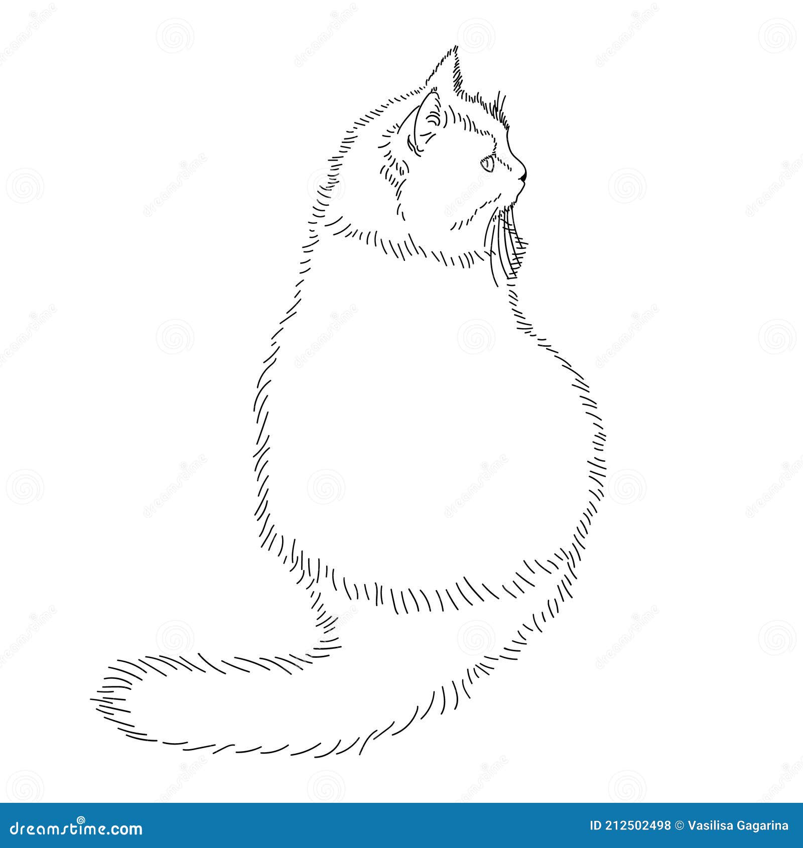 Desenho de gato bonito sentado no fundo branco