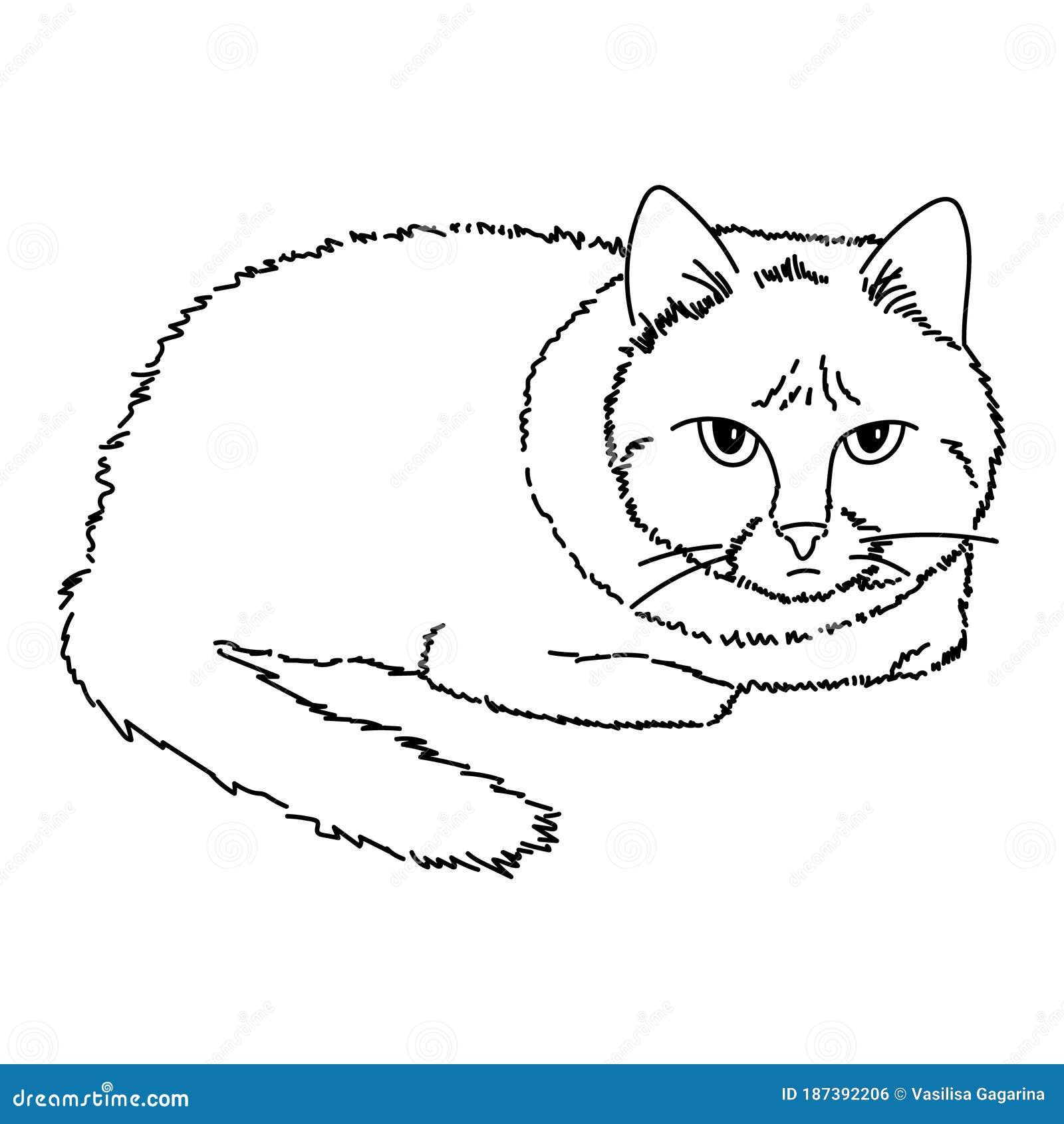 Gato de desenho realista. desenho realista flor.