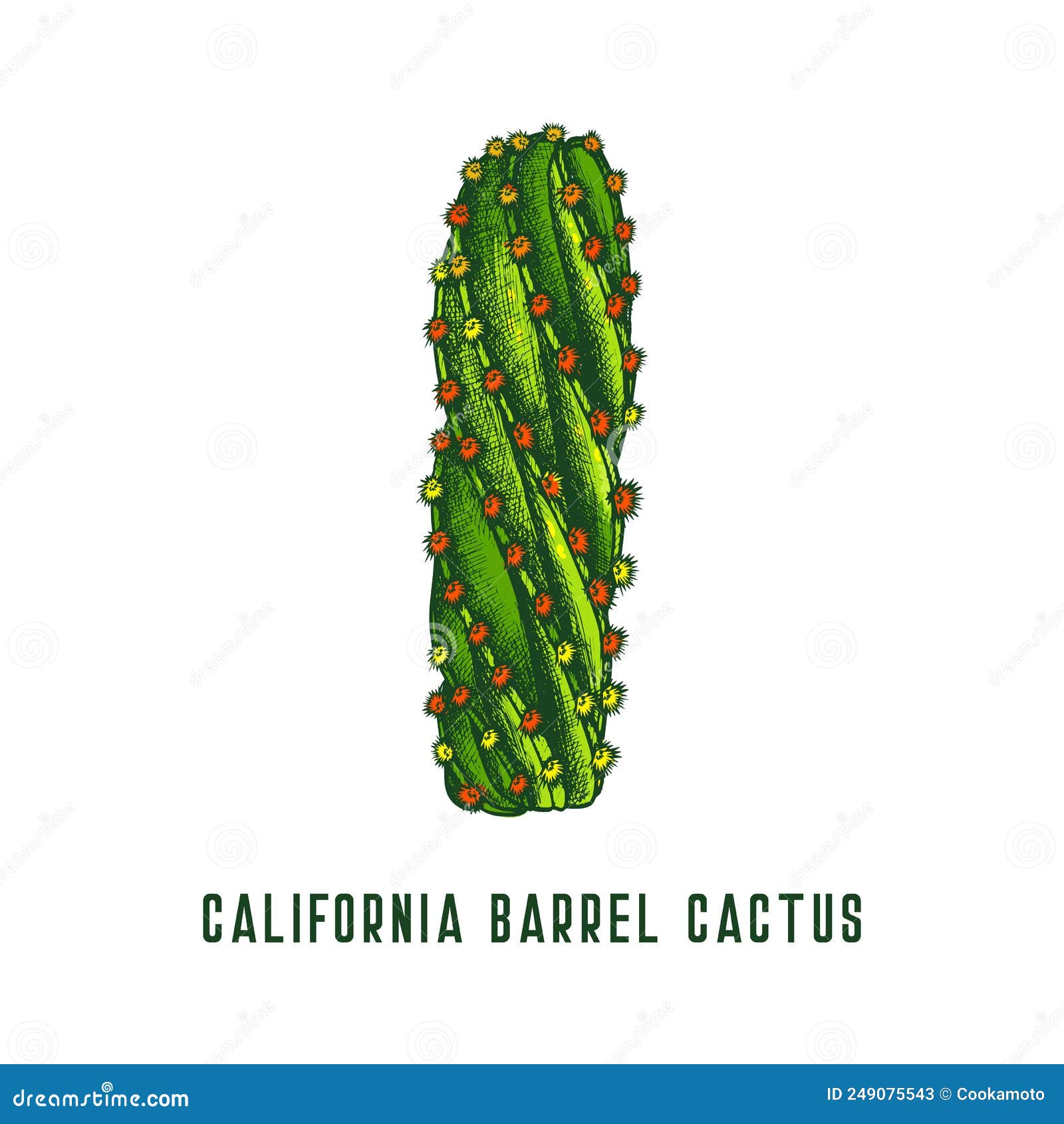 Desenho Do ícone Do Vetor Do Cacto Do Barril Da California