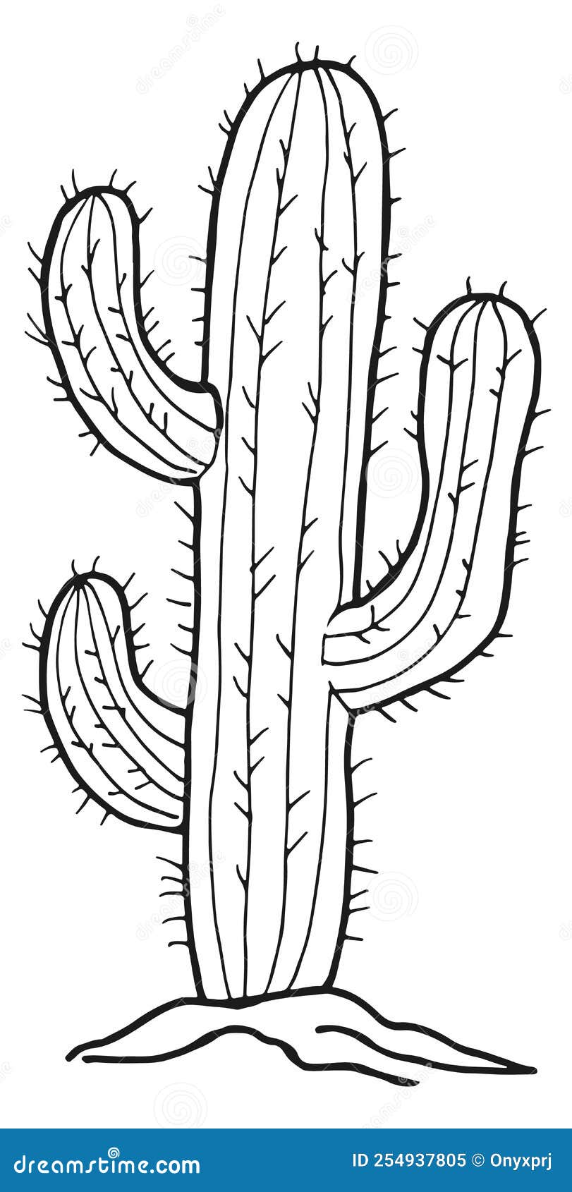 Cacto no deserto / desenho vetorial e ilustração, estilo desenhado  fotomural • fotomurais suculento, espinhoso, cacto