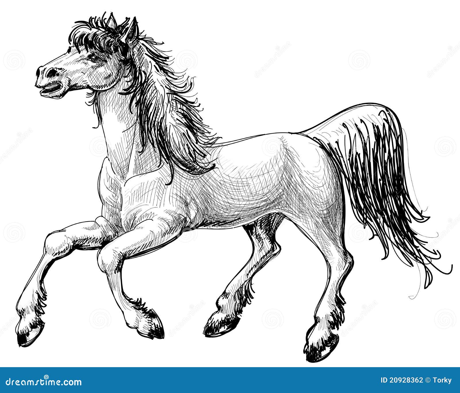 Mais de 100 desenhos de cavalos para colorir!  Cavalo desenho, Cavalos,  Ilustração de cavalo
