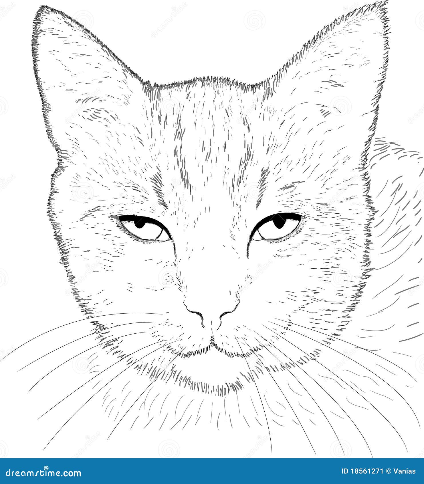 Desenho gato - Imagui