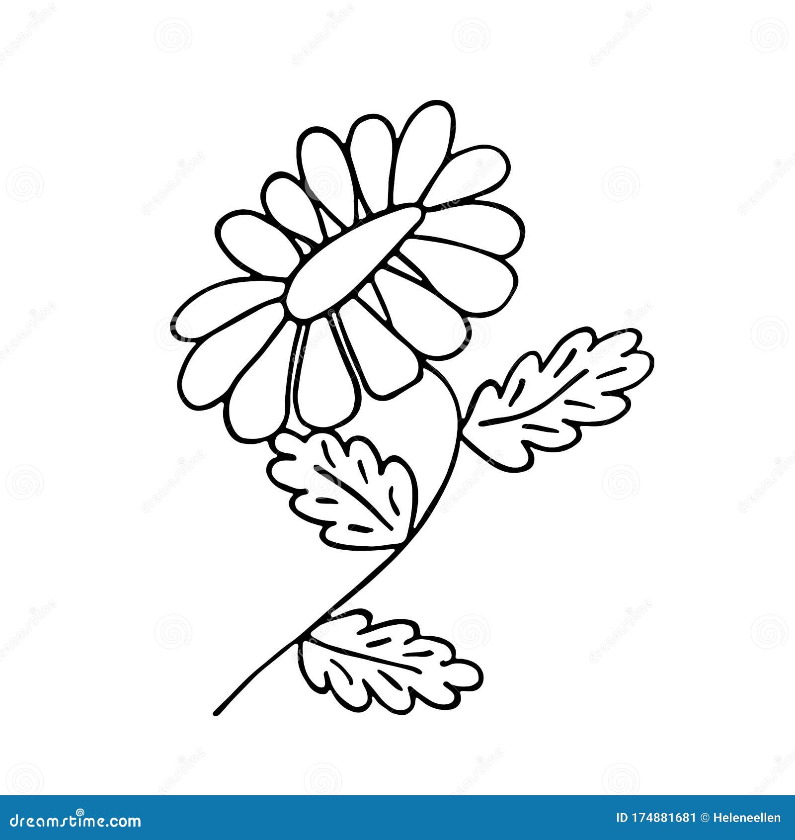 Um simples desenho preto e branco de uma flor.