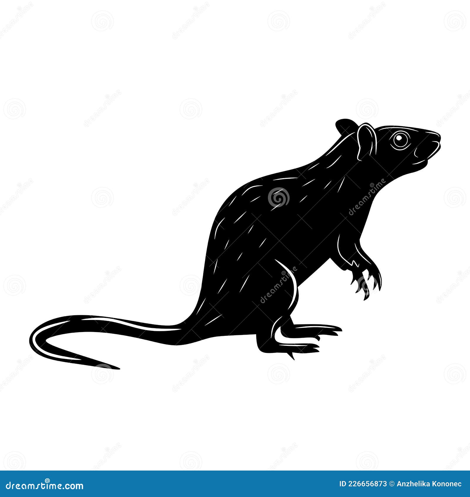 Design PNG E SVG De Desenho Simples De Rato Fofo De Halloween Para Camisetas