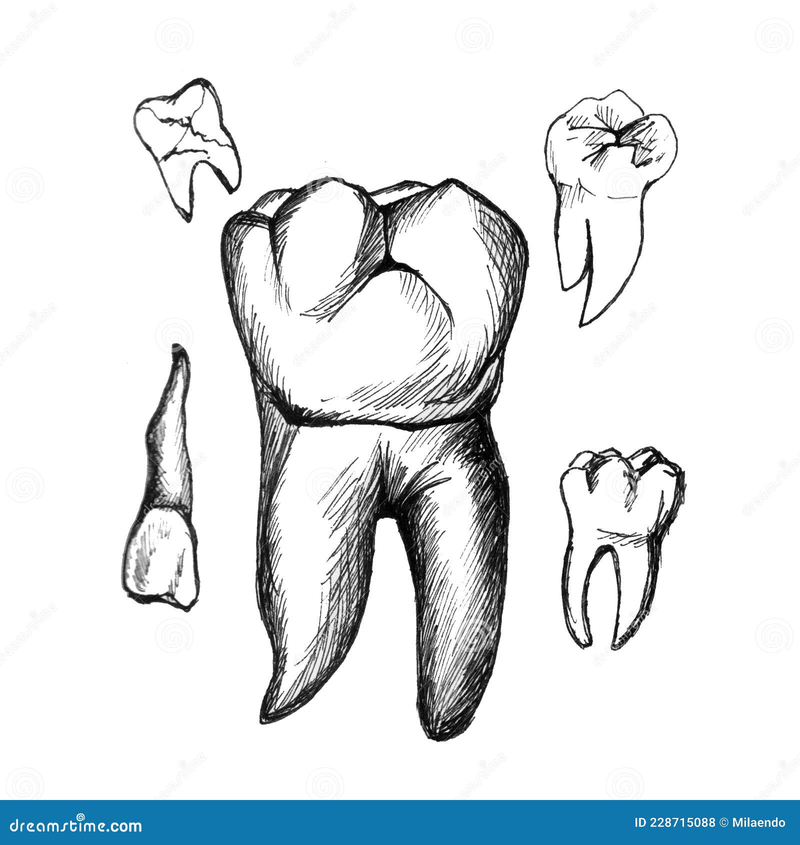 Fundo Desenho A Lápis De Duas Raposas Se Olhando Fundo, Desenho De