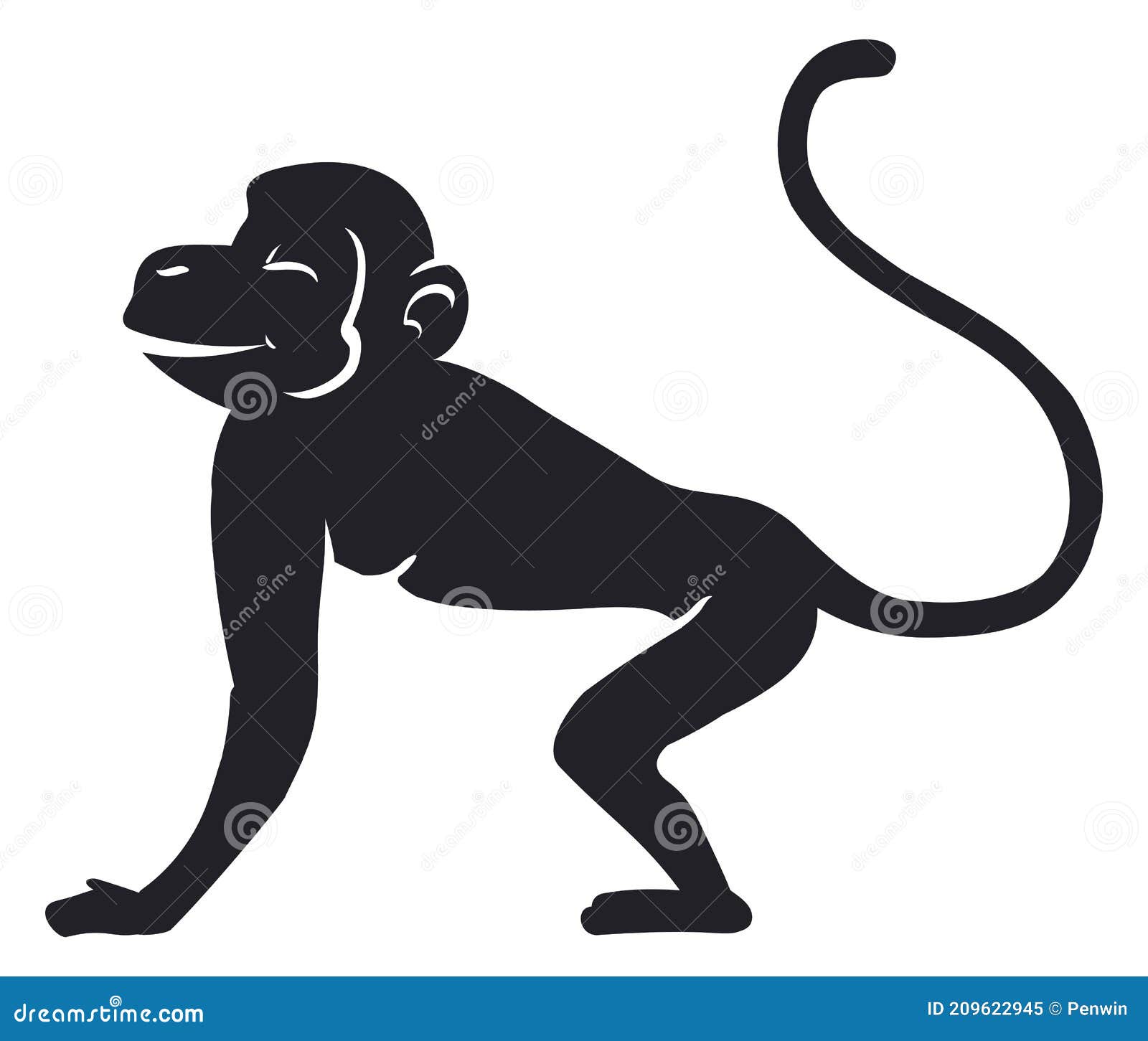 Macaco-aranha. Macaco Selvagem Isolado Com Cauda Longa Ilustração