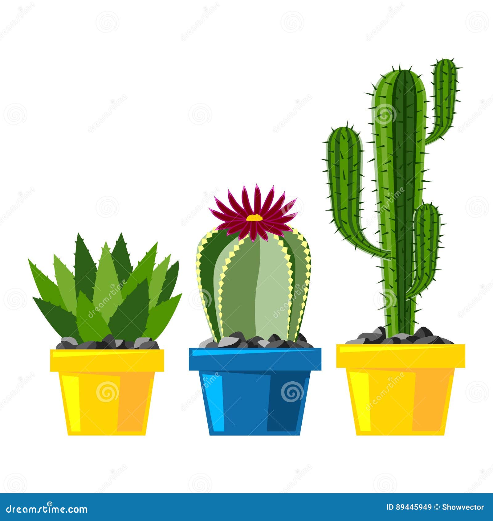 Conjunto De Cacto Verde Do Deserto Ou Da Sala. Estilo Liso E Dos Desenhos  Animados. Ilustração Do Vetor No Fundo Branco. Elemento Para Seu Projeto  Royalty Free SVG, Cliparts, Vetores, e Ilustrações