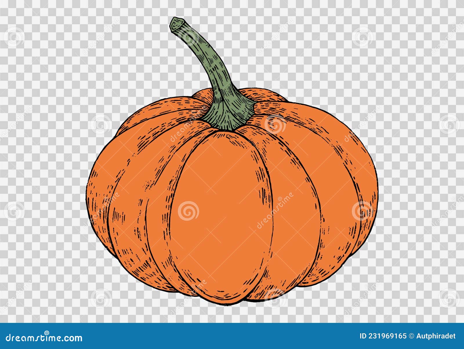 Desenho Vetorial De Elementos De Abóbora De Halloween PNG , Dia Das Bruxas,  Abóbora, Elementos Imagem PNG e Vetor Para Download Gratuito