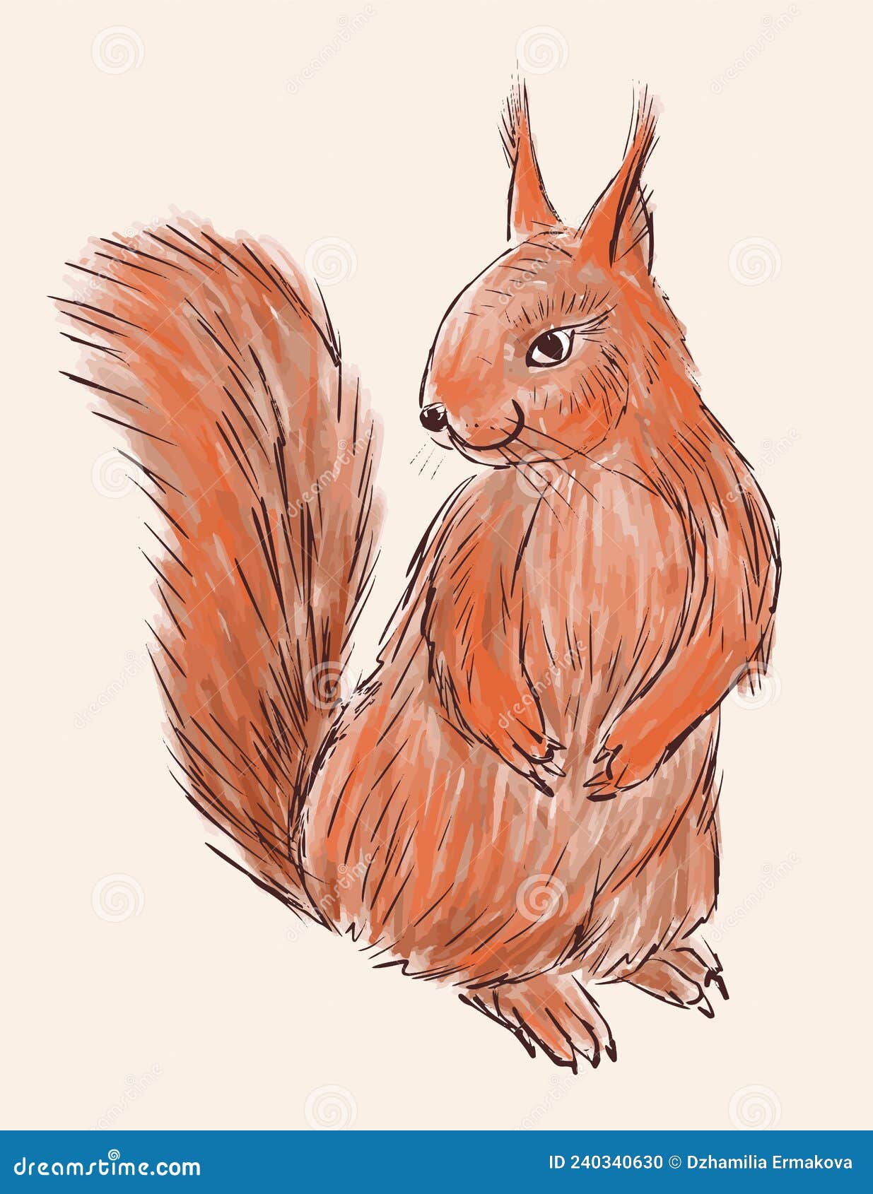 Como Desenhar um ESQUILO  How to Draw Squirrel 