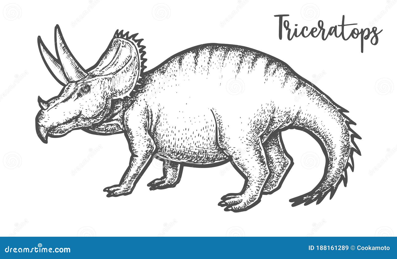 Nica Linha Contínua Desenho Triceratops Dinossauro. Grande Dinossauro  Pré-histórico Triceratops. Extinto Animais Antigos. Conceito De História  Animal. Uma Linha Dinâmica Desenhar Ilustração Vetorial De Design Gráfico  Royalty Free SVG, Cliparts, Vetores, e