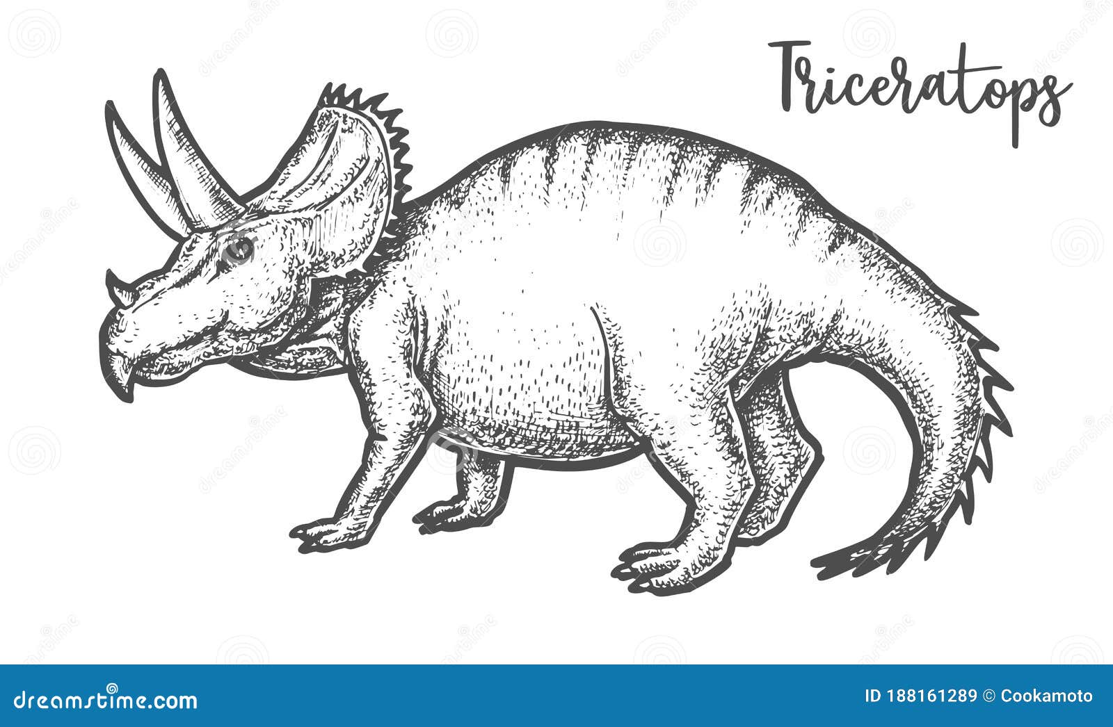 Como DESENHAR um DINOSSAURO TRICERATOPS - Como DIBUJAR un DINOSAURIO - How  to DRAW a TRICERATOPS 