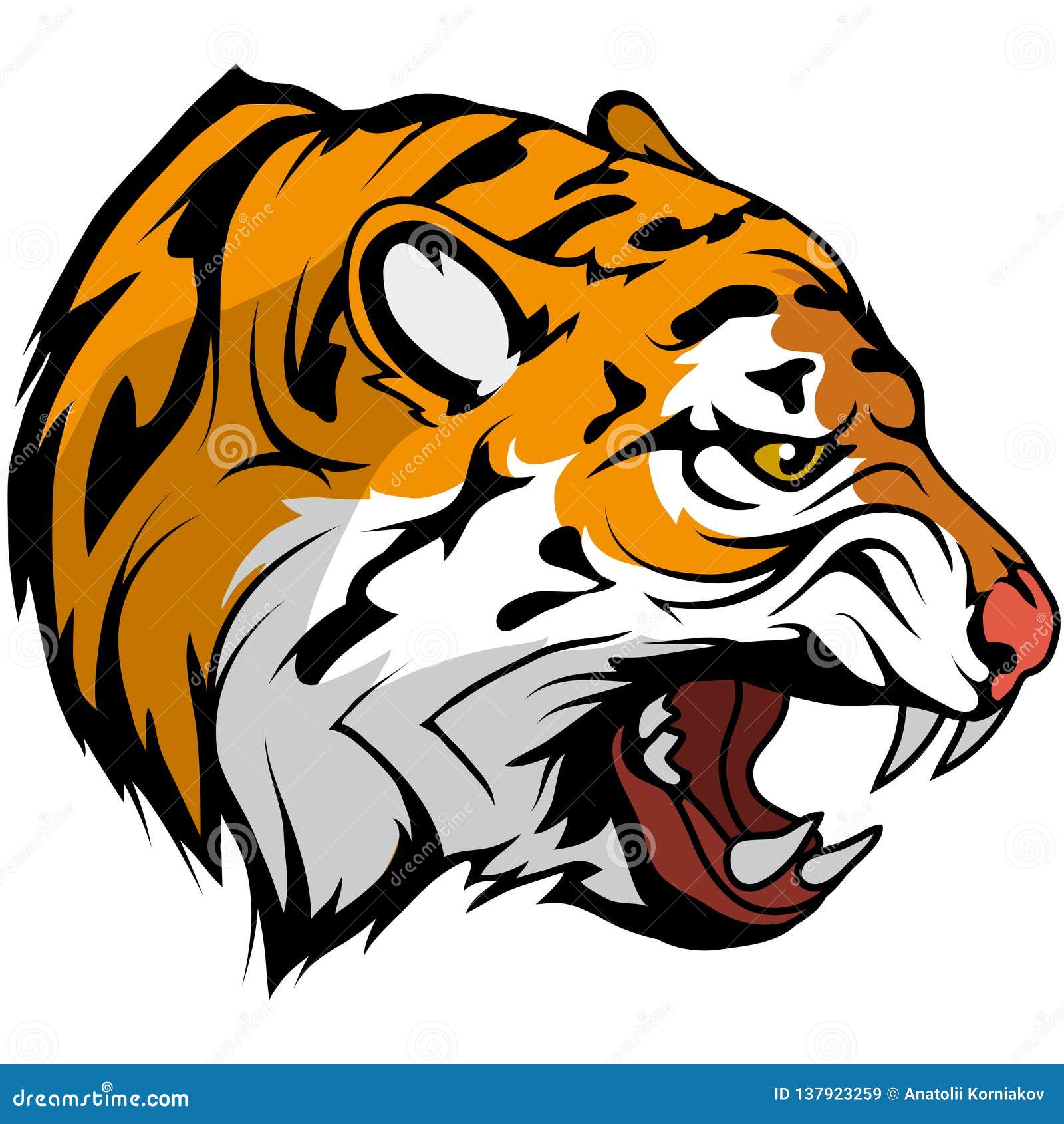 Como Aprender Desenhar Esboço Cabeça Tigre Criação Passo Passo Pintura  imagem vetorial de Nataljacernecka© 482814904