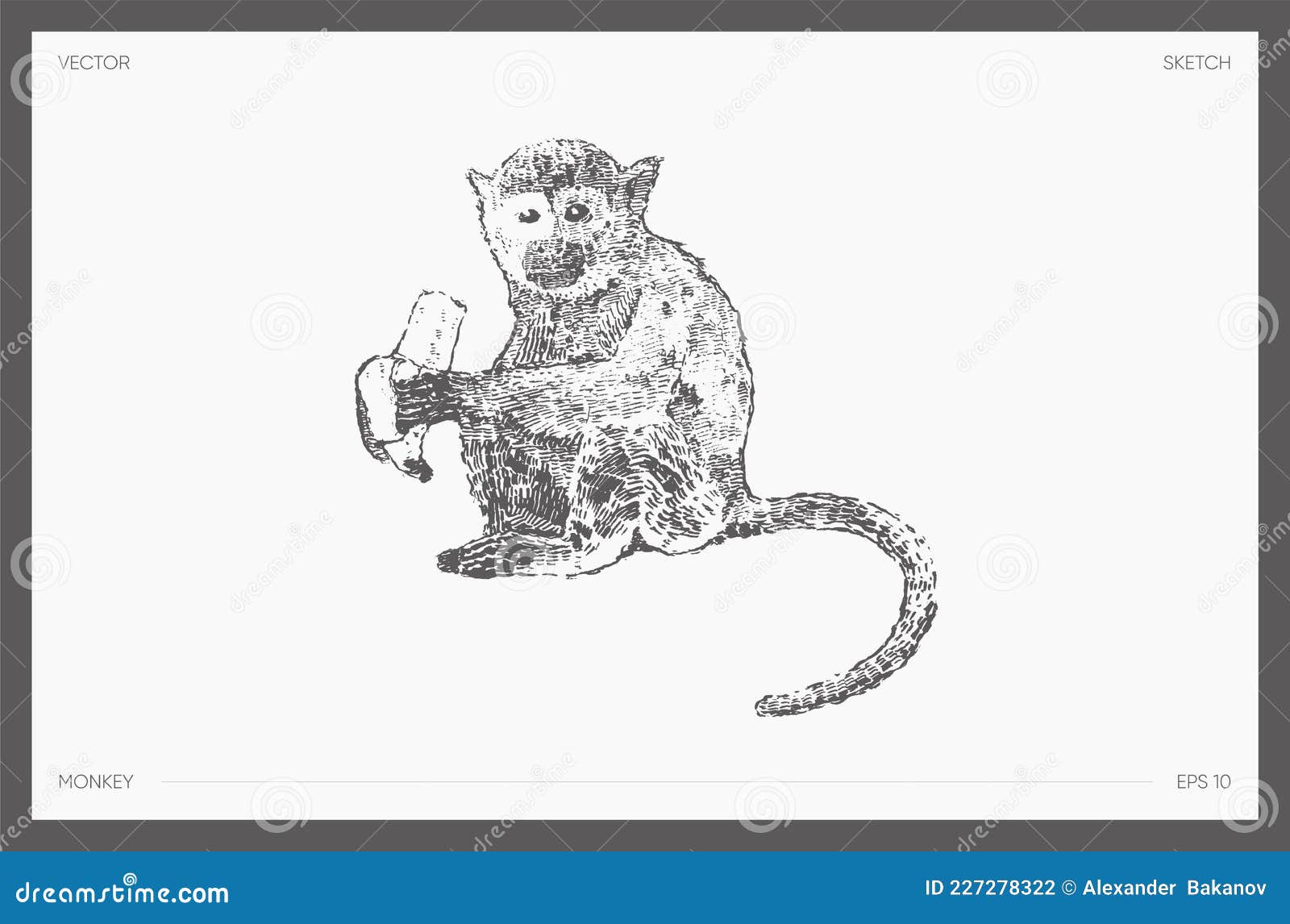 Desenho Realista Do Macaco Vetor Desenhado Com Alto Detalhe Ilustração do  Vetor - Ilustração de macaco, desenho: 227278322