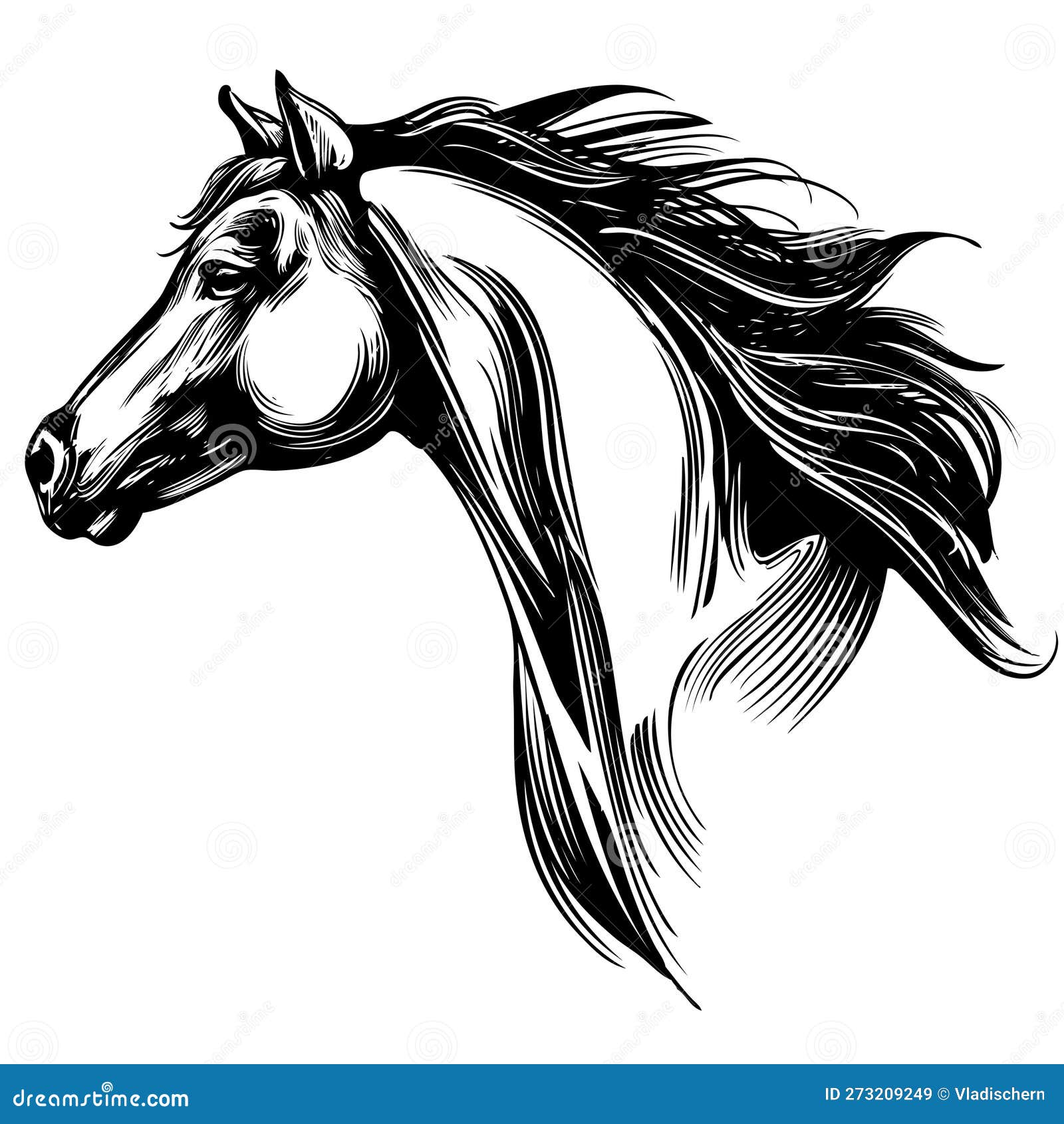 Desenho Realista Do Vetor Desenhado à Mão Com O Logotipo Da Cabeça De Cavalo  Ilustração Stock - Ilustração de cartoon, livre: 273209249