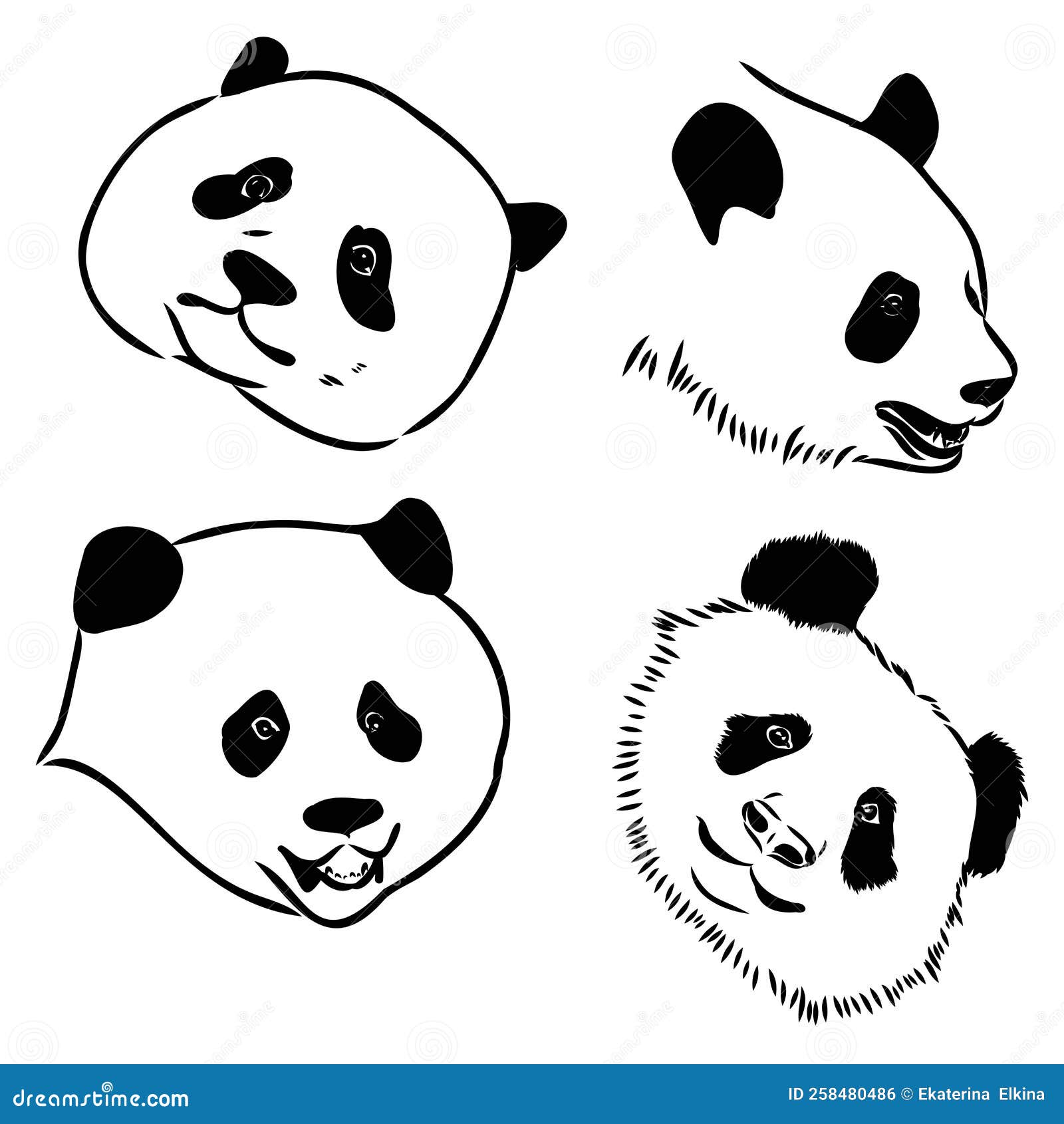 Retrato De Uma Ilustração Realista Do Desenho Vetorial Do Panda Divertida  Ilustração do Vetor - Ilustração de pouco, nave: 178022603