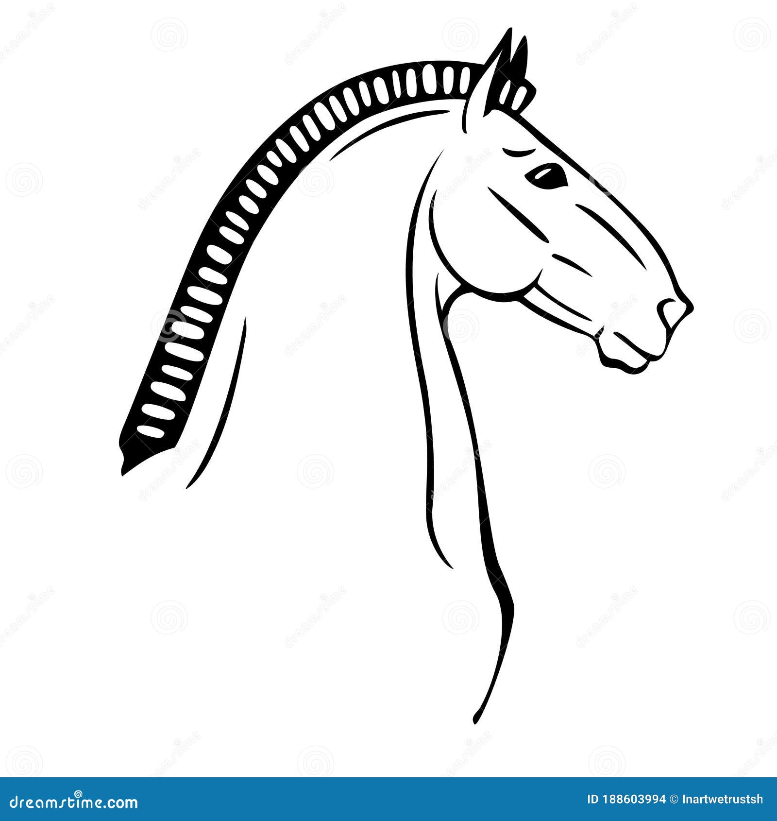 Como desenhar um cavalo: Cabeça - Introdução 01 