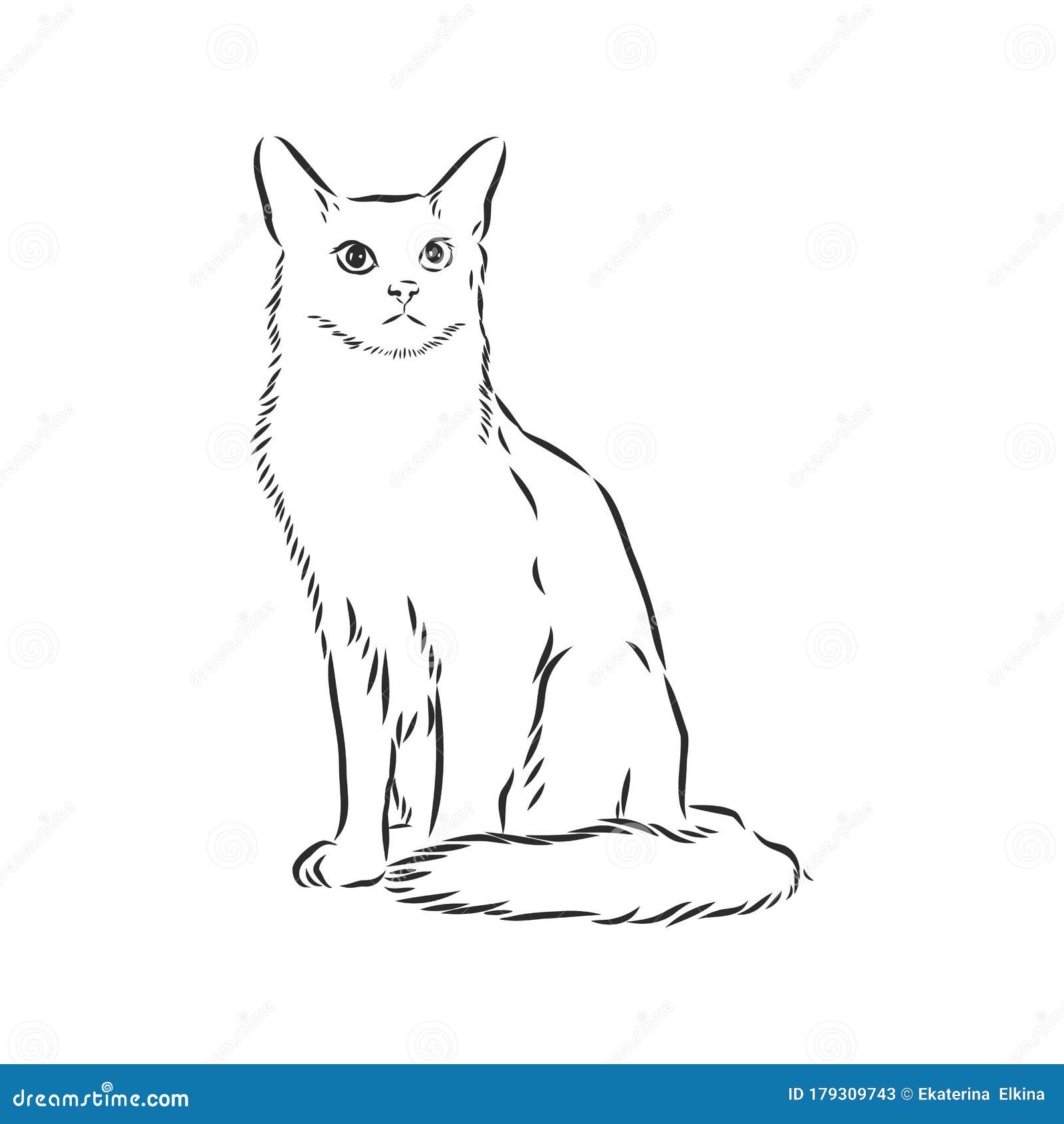 Ilustração de desenho vetorial realista de gato doméstico o sinal do gato