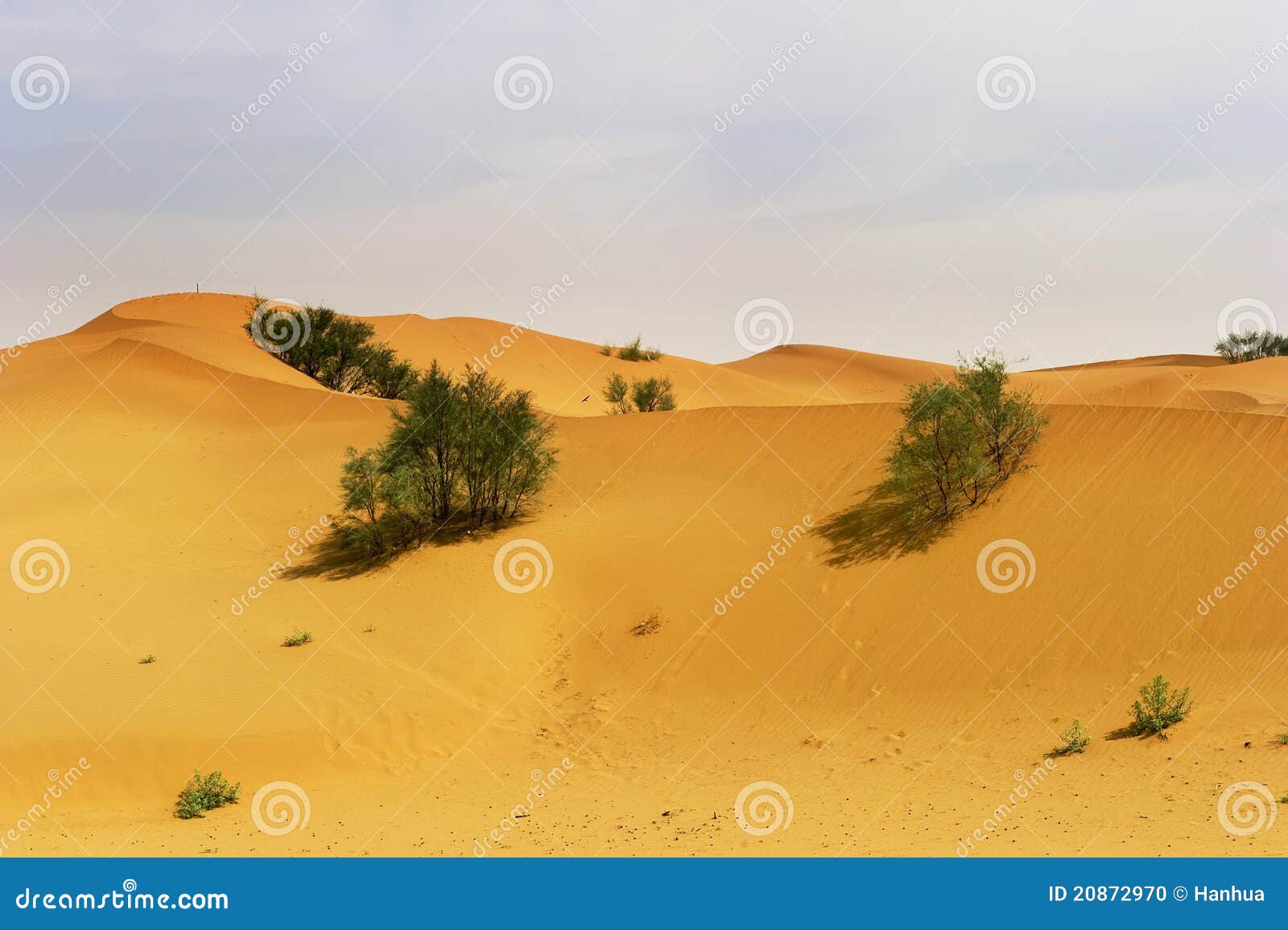 Under the blue sky white cloudï¼ŒA piece of barren desertsã€‚This picture was taken in the summerï¼Œ