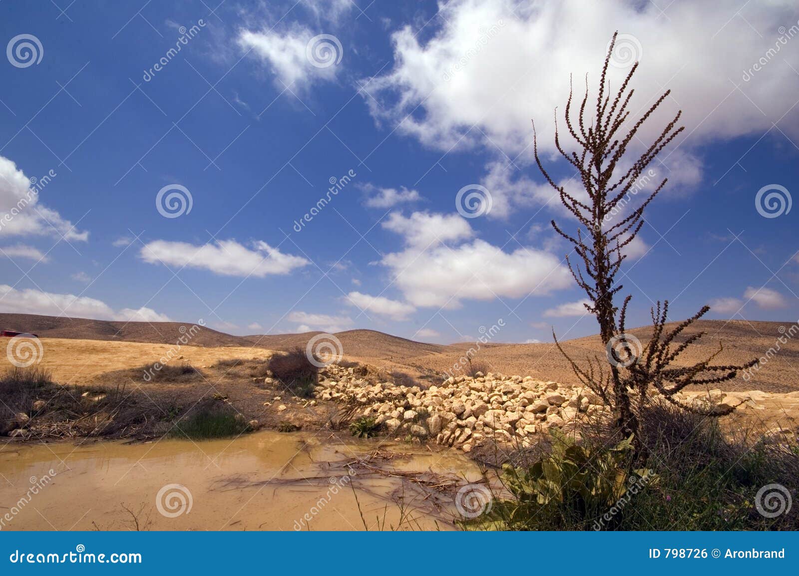 desert