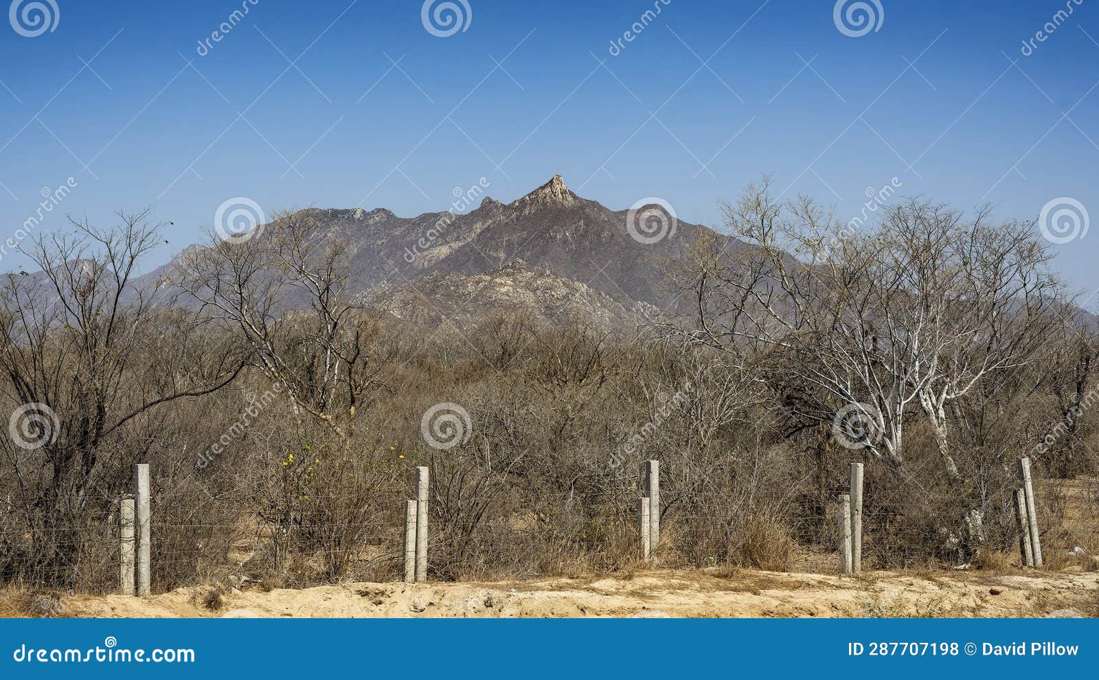 desert along mexican highway 1 between san jose del cabo and santiago in baja california sur.