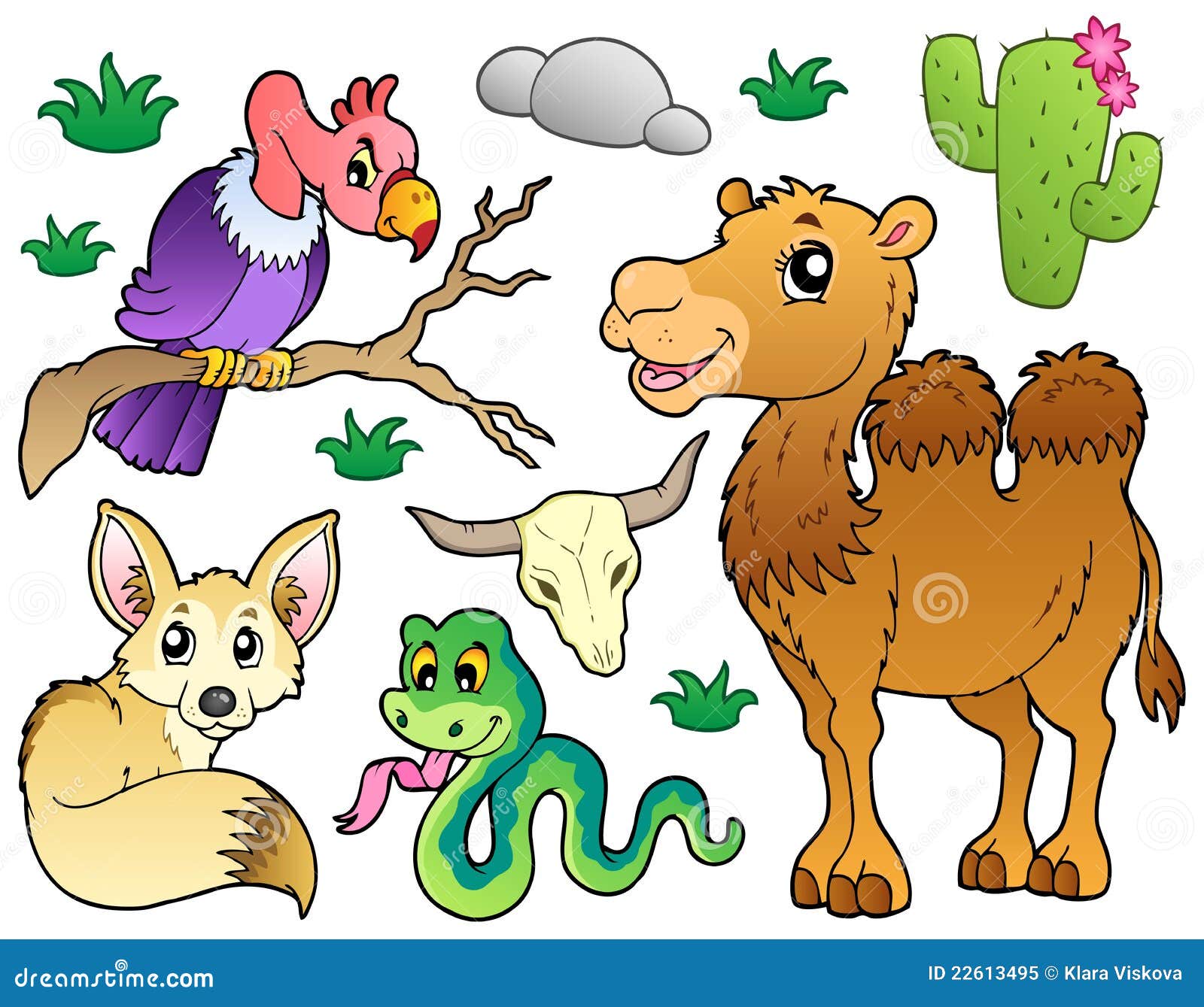 Desert Animals Collection 1 Stock Vector - Illustration of animals, safari:  22613495