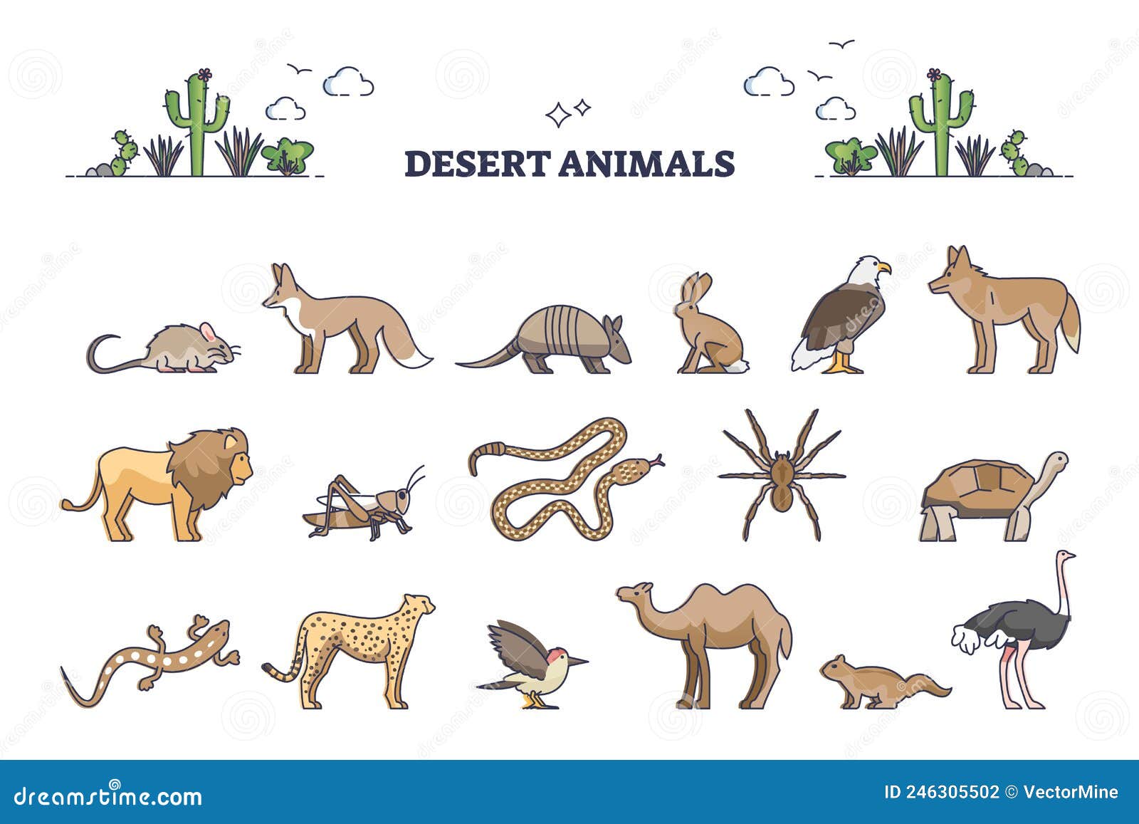Desert Animals Collection with Hot Environment Habitat Species Outline Set  Stock Vector - Illustration of ecosystem, habitat: 246305502