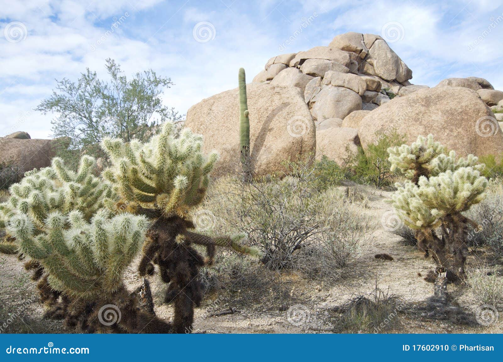 desert buttes in scottsdale, arizona